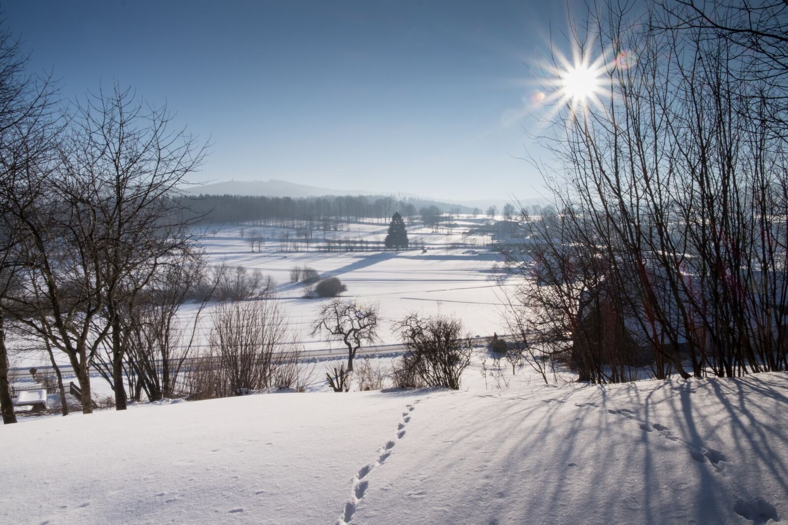 Fujifilm X-T10 sample photo. Winter, traces, wintry photography