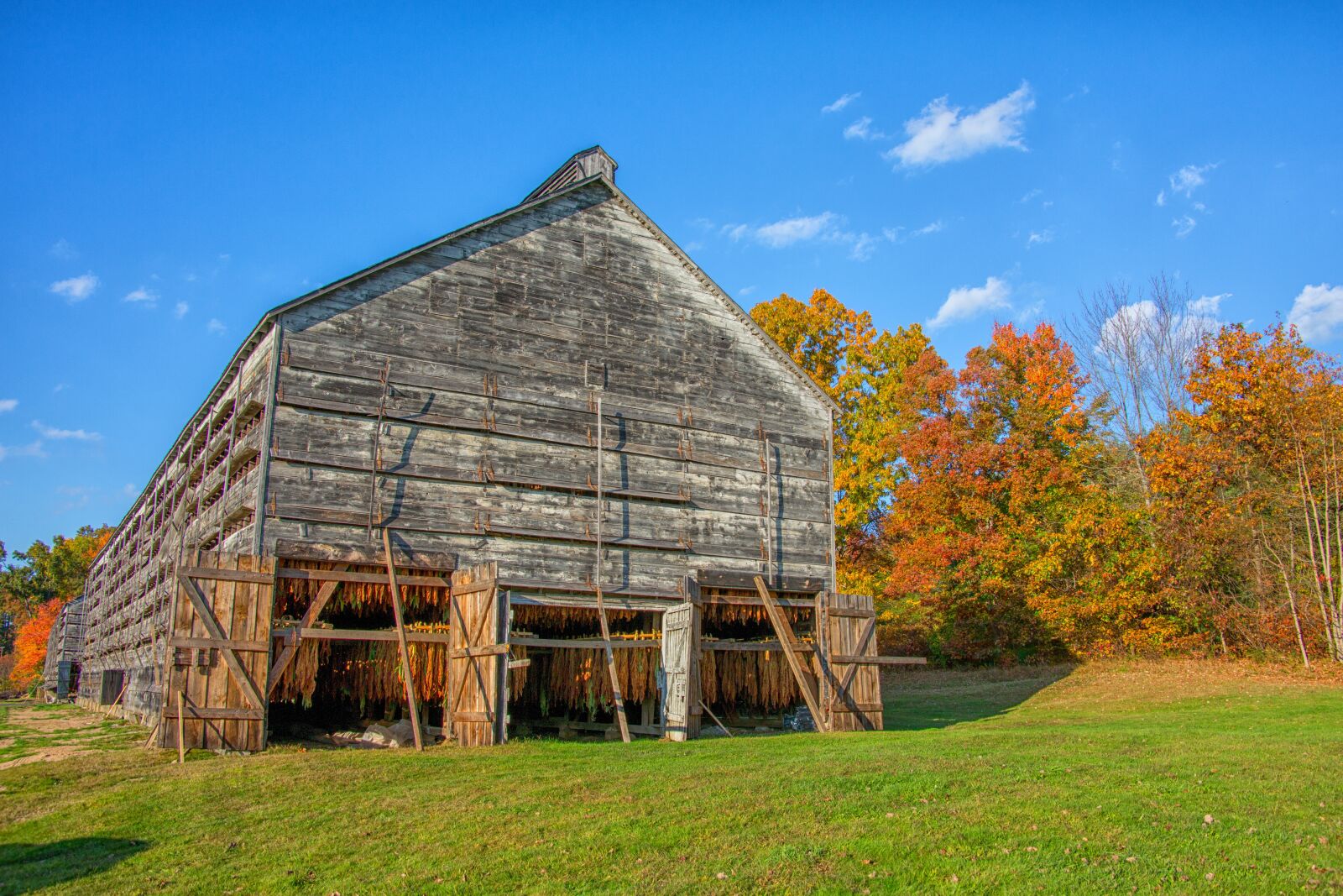 Canon EOS 5D Mark III sample photo. Barn, tobacco, farm photography