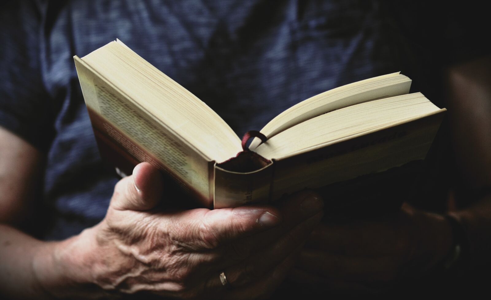 Nikon D5200 sample photo. Book, read, hands photography