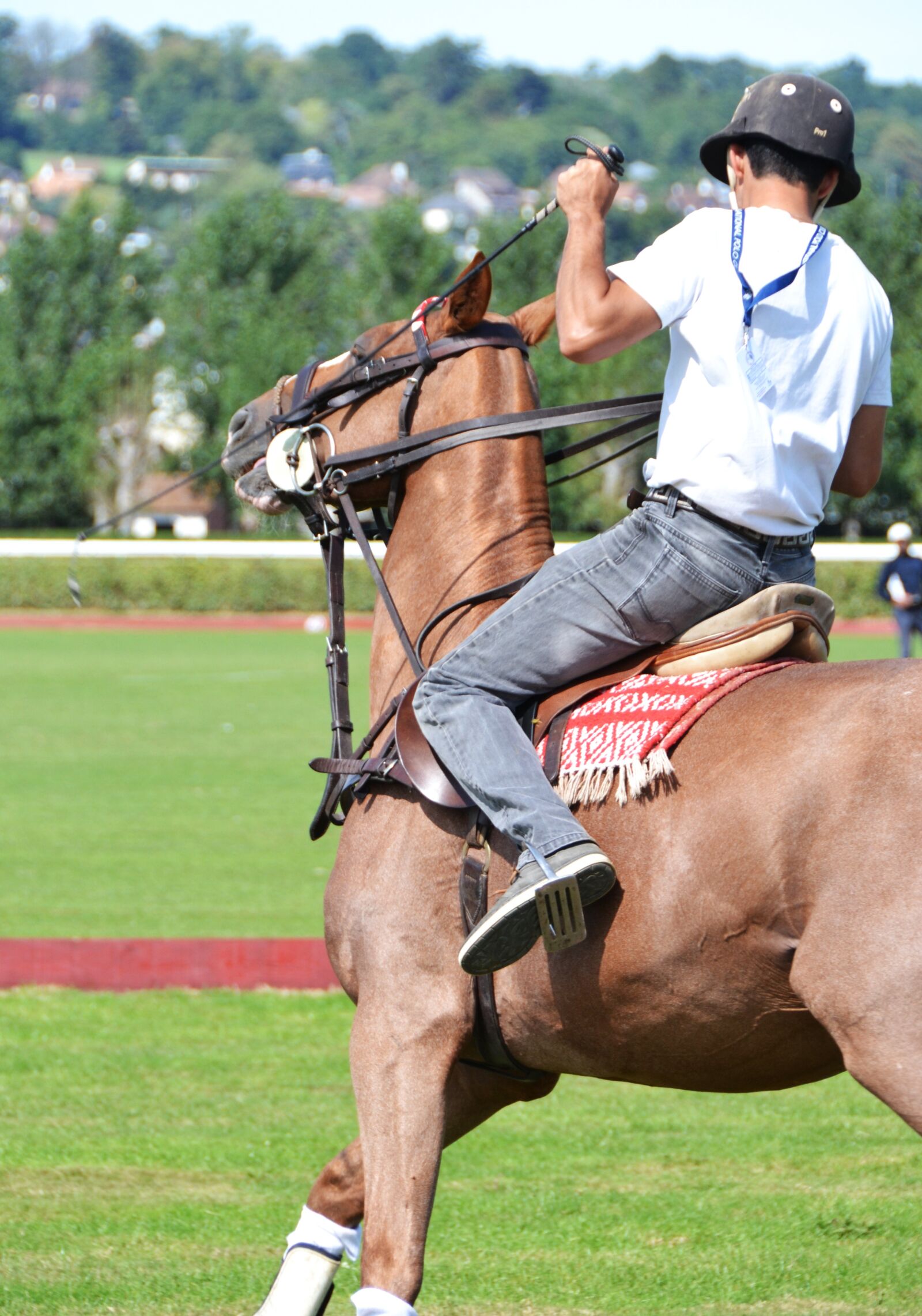 Nikon D3100 sample photo. Horse, sport, horseback riding photography