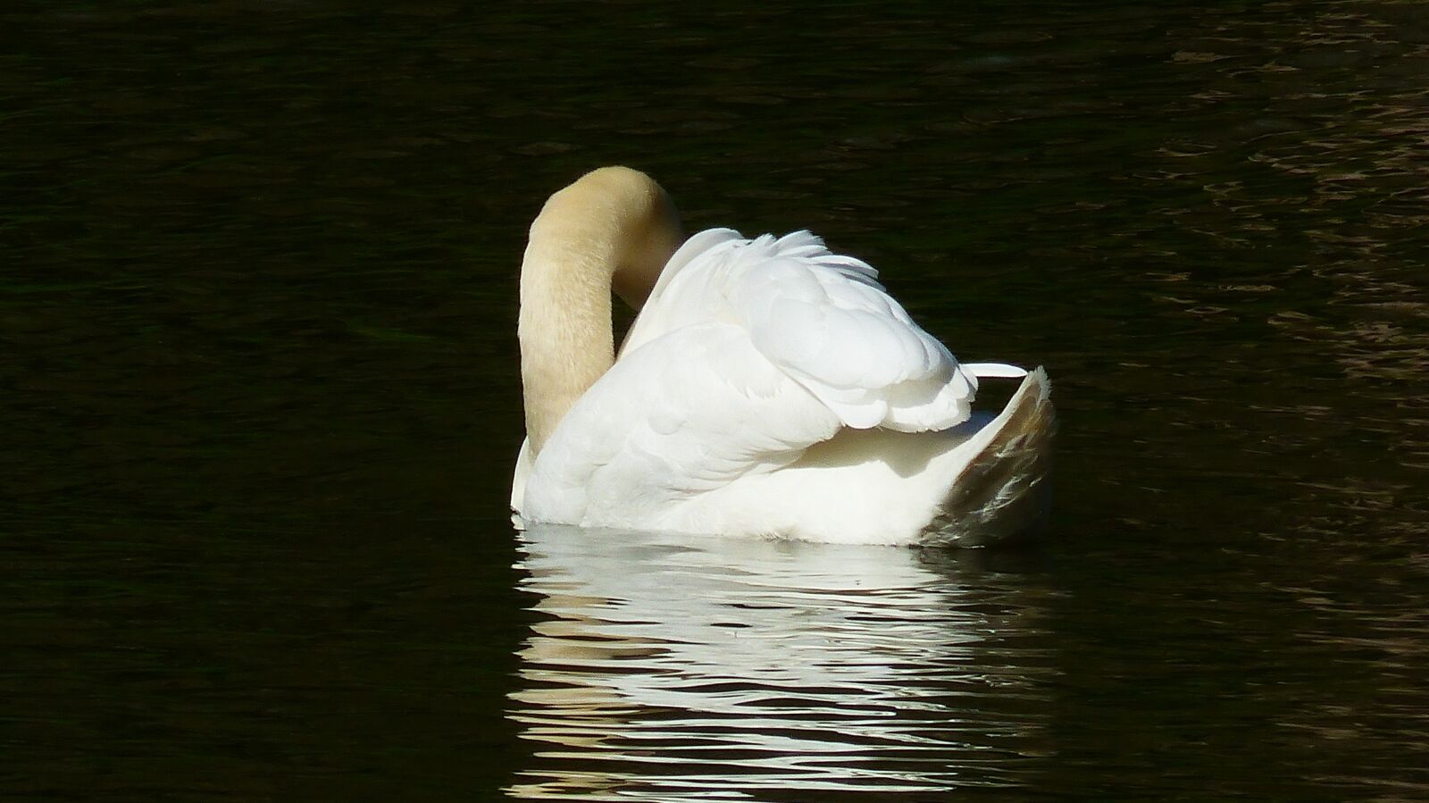 Panasonic Lumix DMC-FZ200 sample photo. Body of water, lake photography