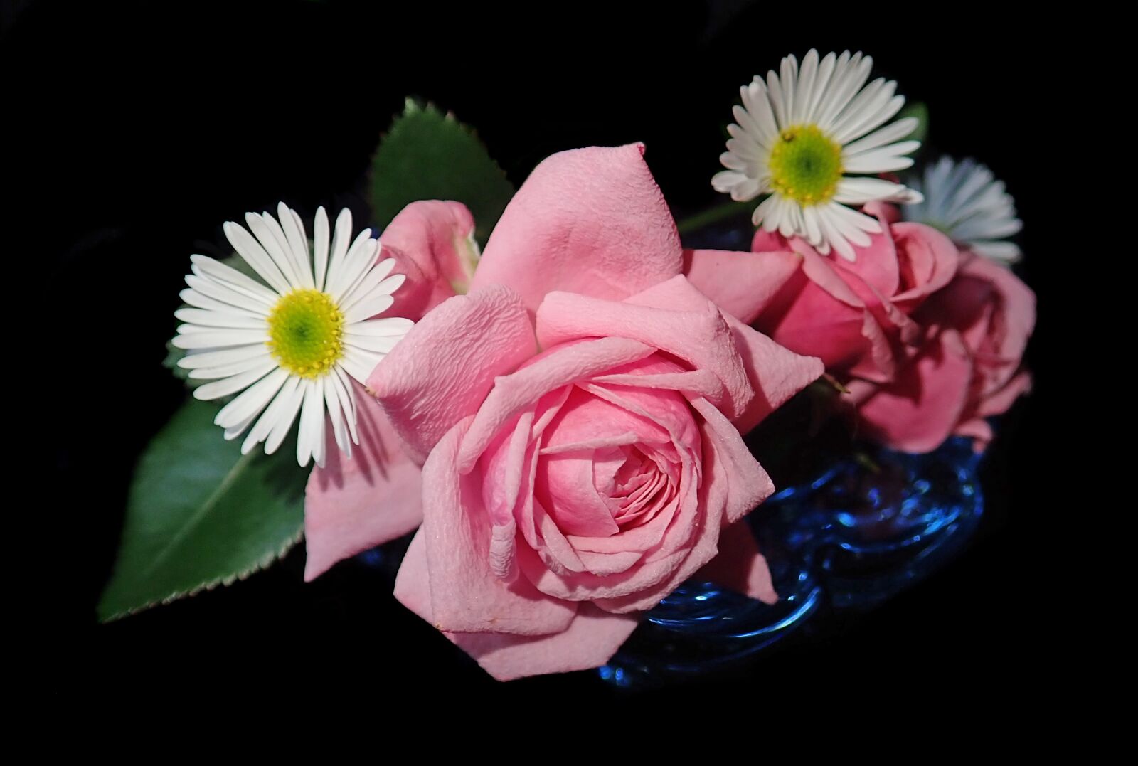 Olympus TG-5 sample photo. Flowers, roses, daisies photography