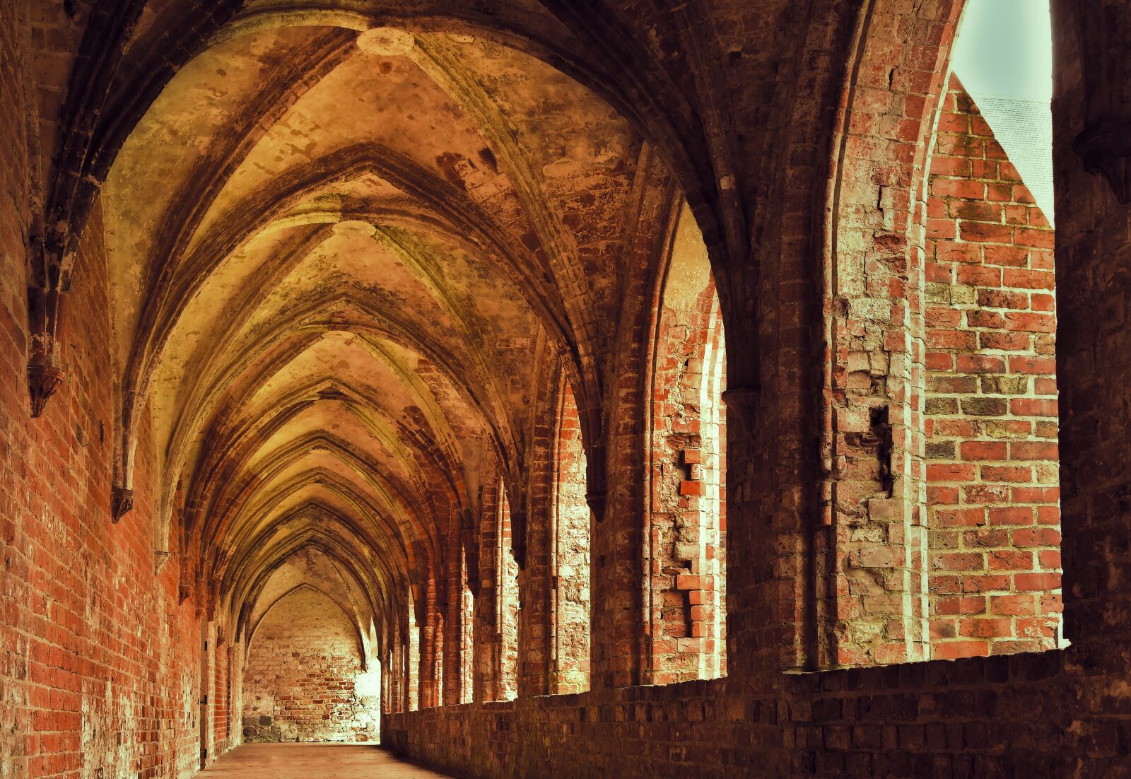 Nikon D5600 sample photo. Cloister, architecture, gothic photography