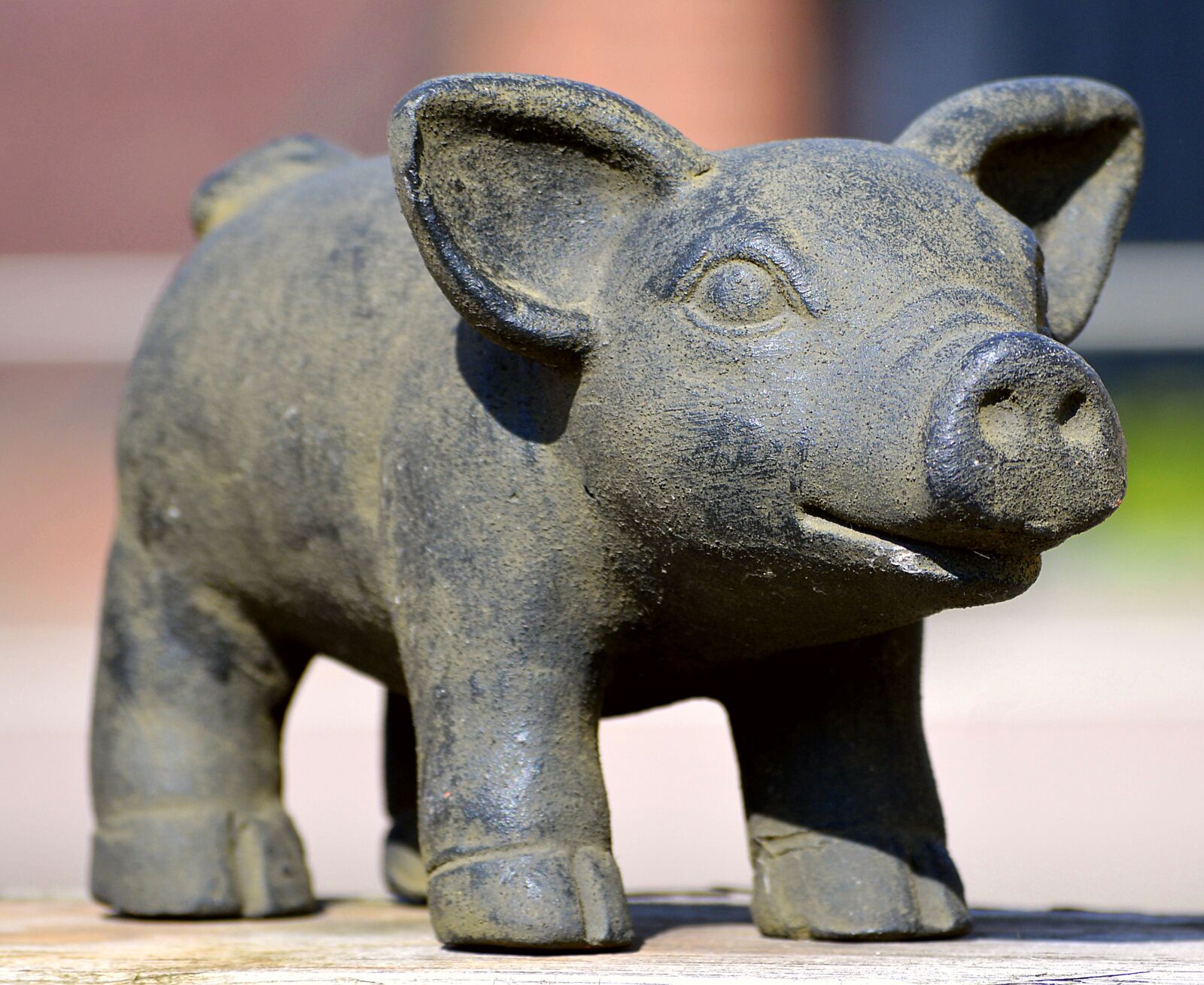 Nikon D3200 sample photo. Sound, piglet, hand labor photography