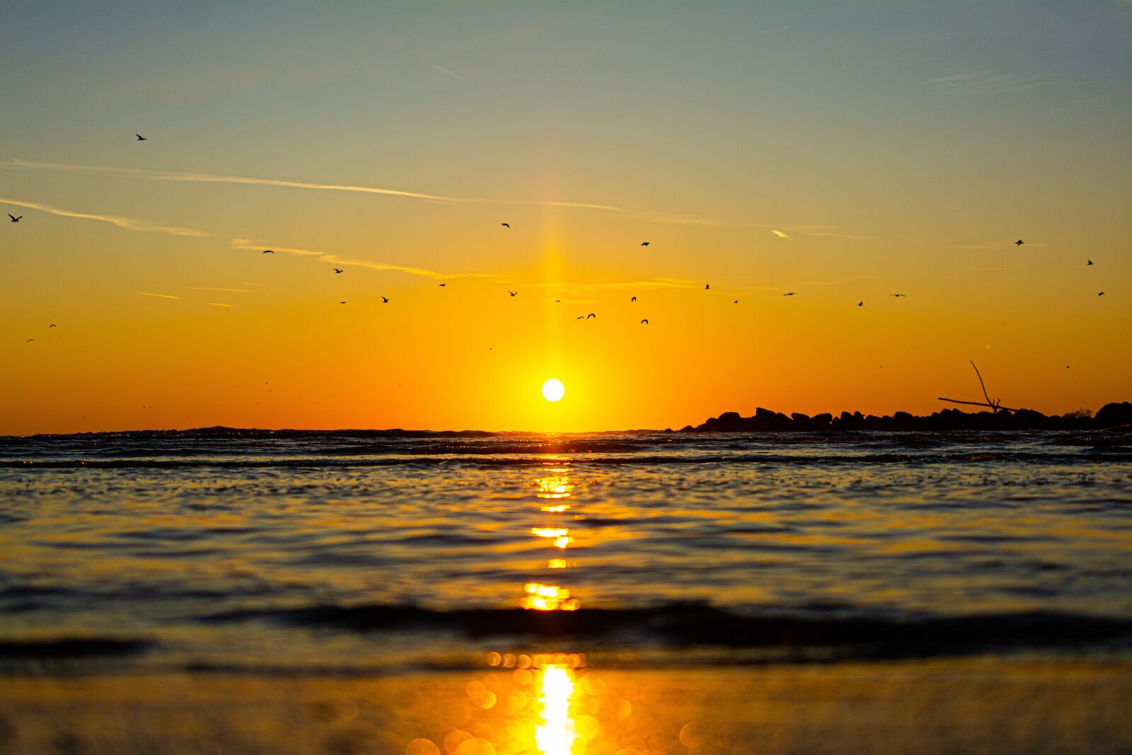 Nikon D7100 sample photo. Summer, sunrise, nature photography
