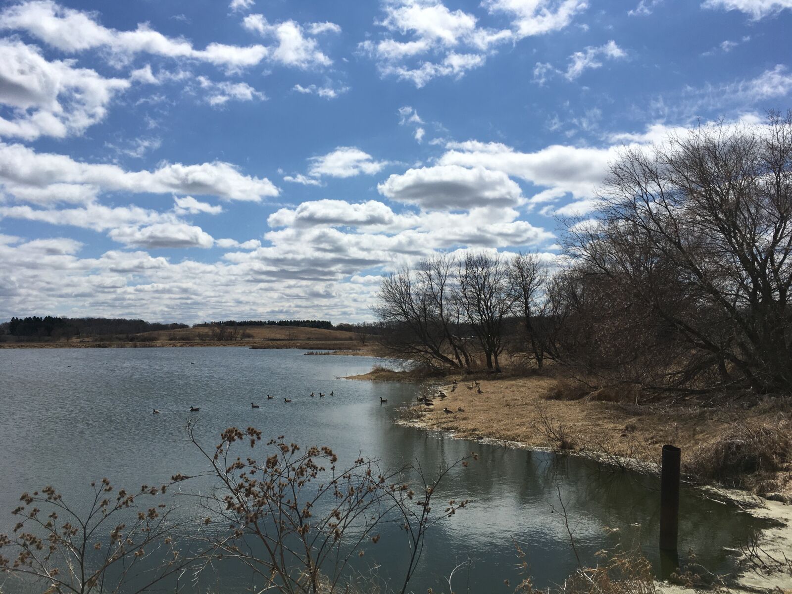 iPhone SE back camera 4.15mm f/2.2 sample photo. Wisconsin, wetlands, spring photography