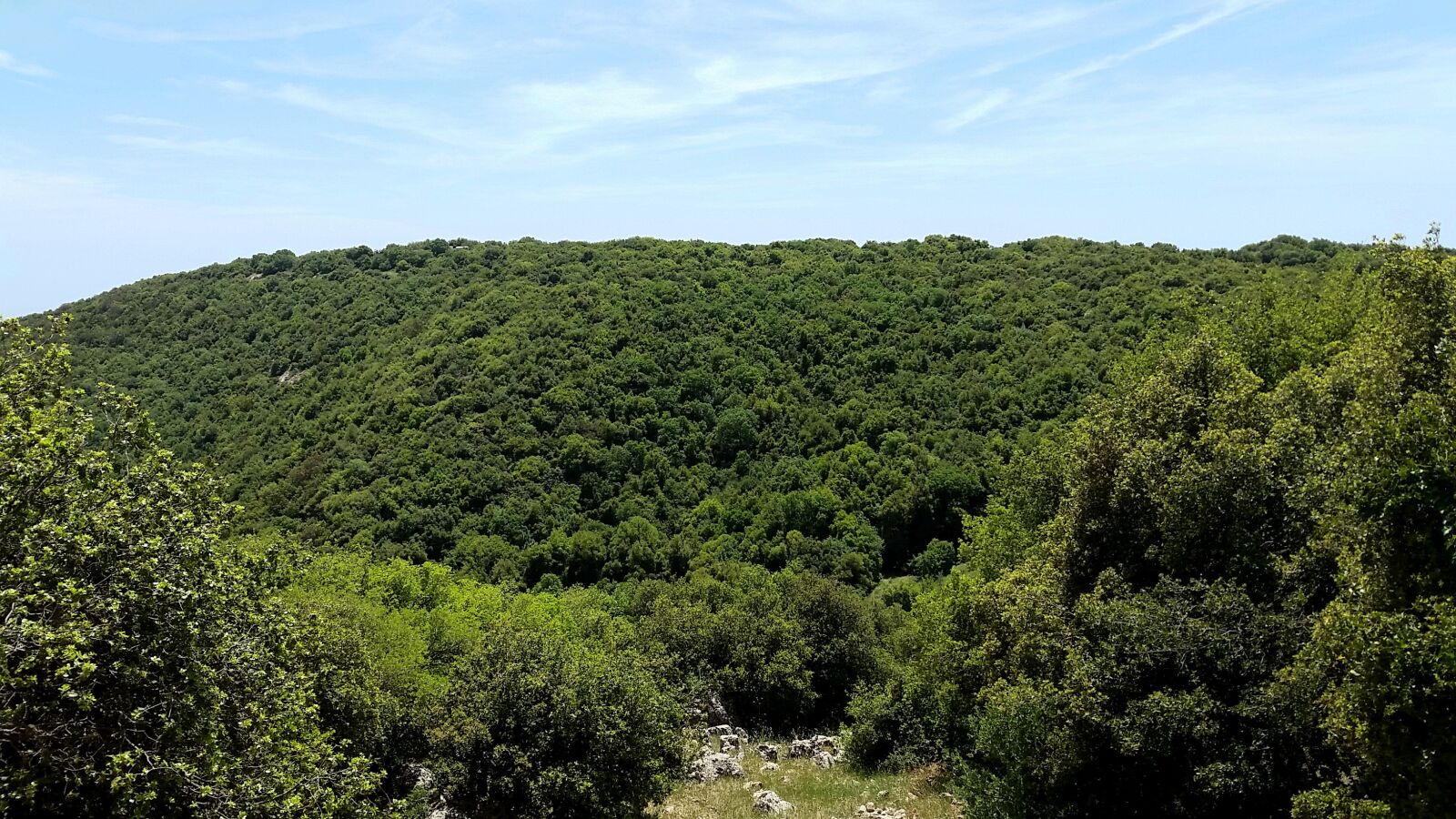 Samsung Galaxy S5 sample photo. Nature, panoramic, landscape photography