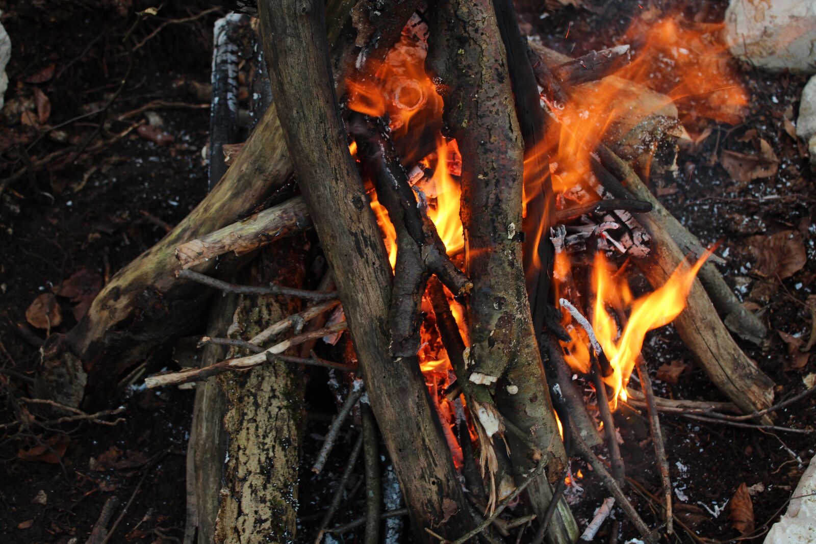 Canon EOS 1300D (EOS Rebel T6 / EOS Kiss X80) sample photo. Flare-up, heat, firewood photography