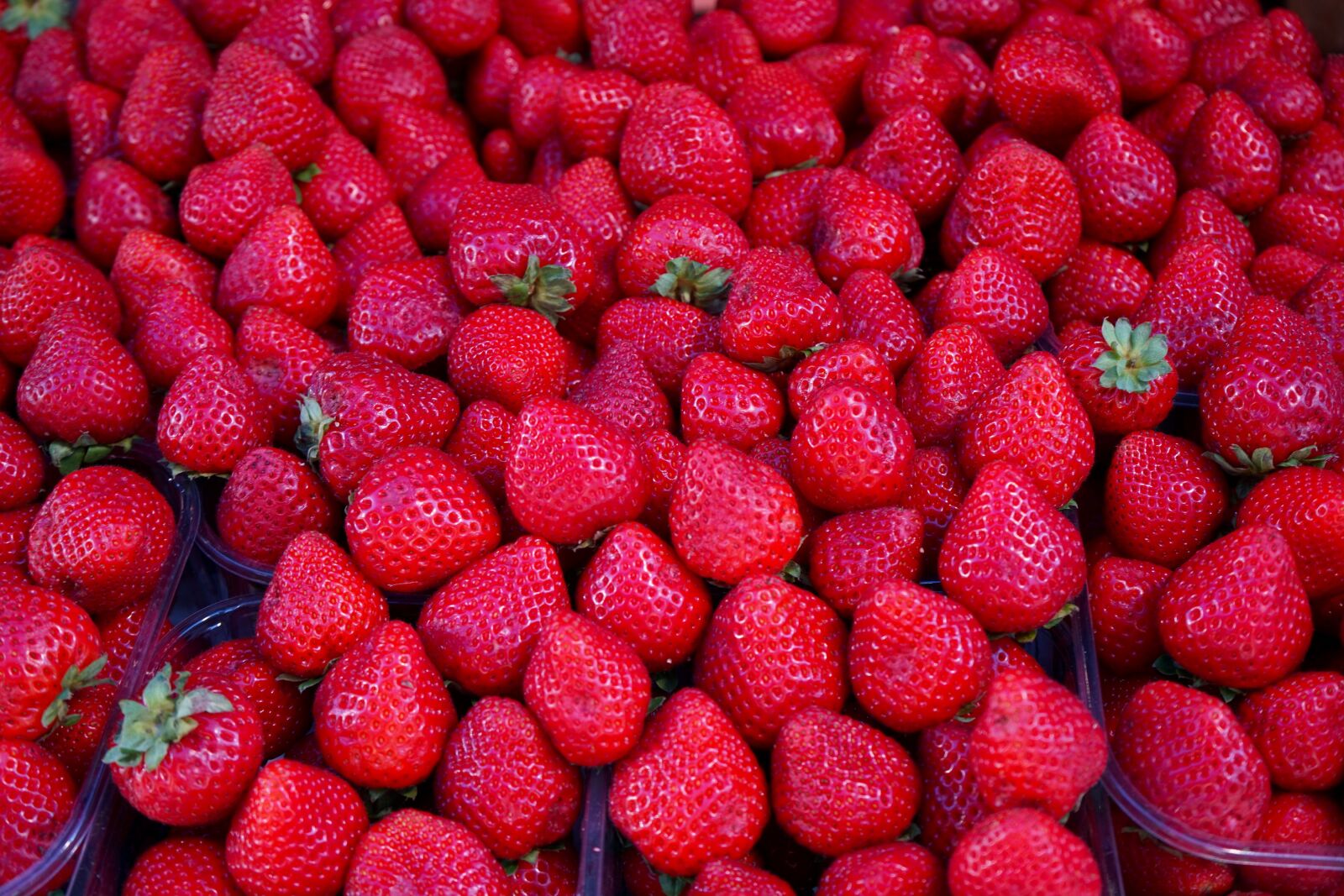Sony a7 II + Sony FE 28-70mm F3.5-5.6 OSS sample photo. Vegan, strawberries, fruit photography