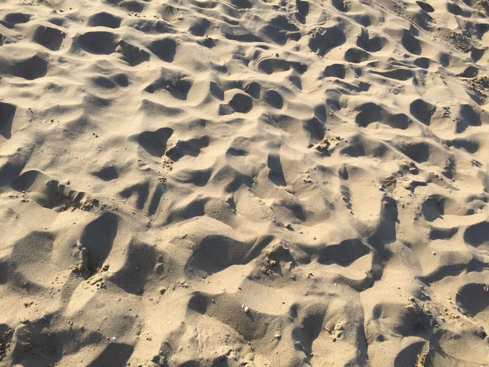 Apple iPhone 6 sample photo. Sand, beach, footsteps photography