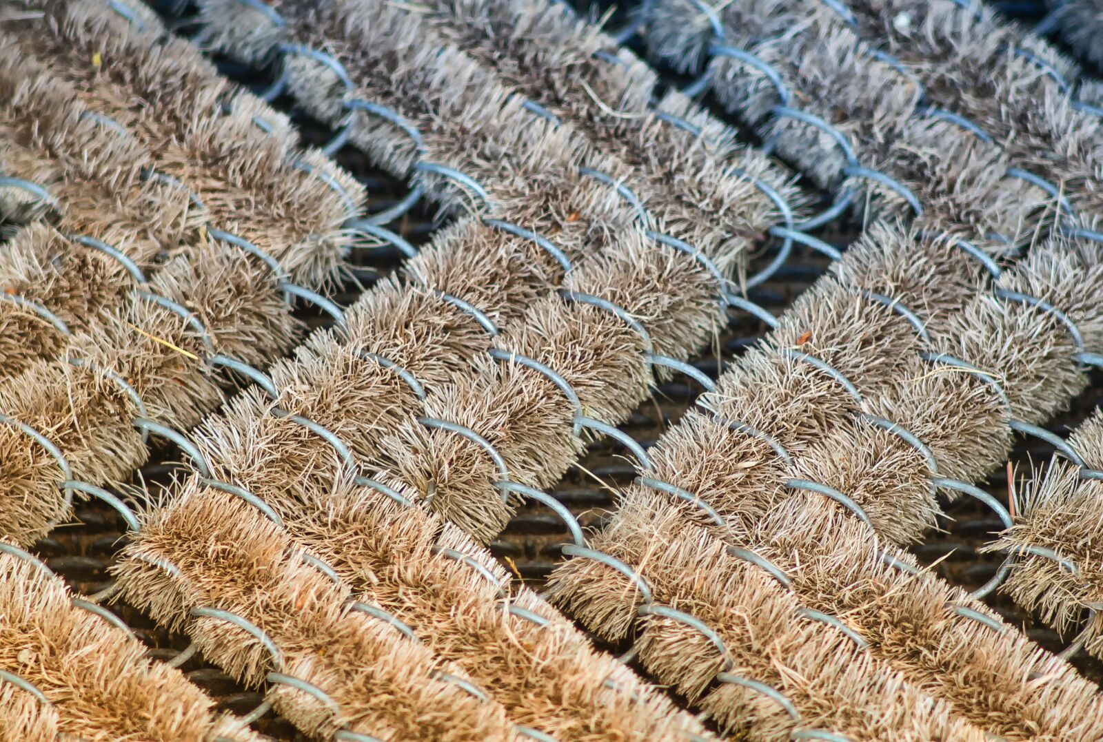 Canon EOS 60D sample photo. Floor mat, brush, grid photography