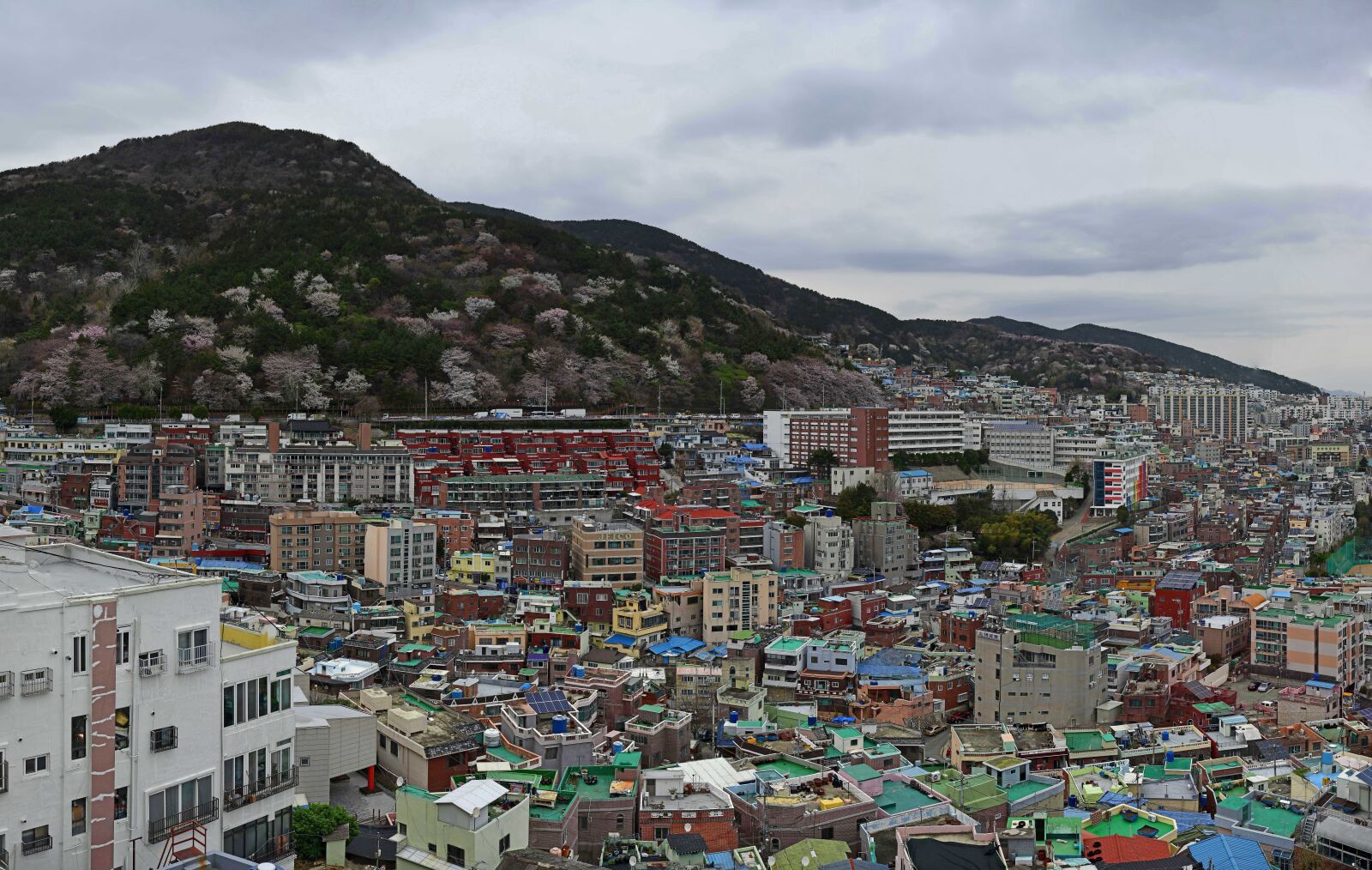 Nikon D5 sample photo. Busan, jung-gu, second rental photography