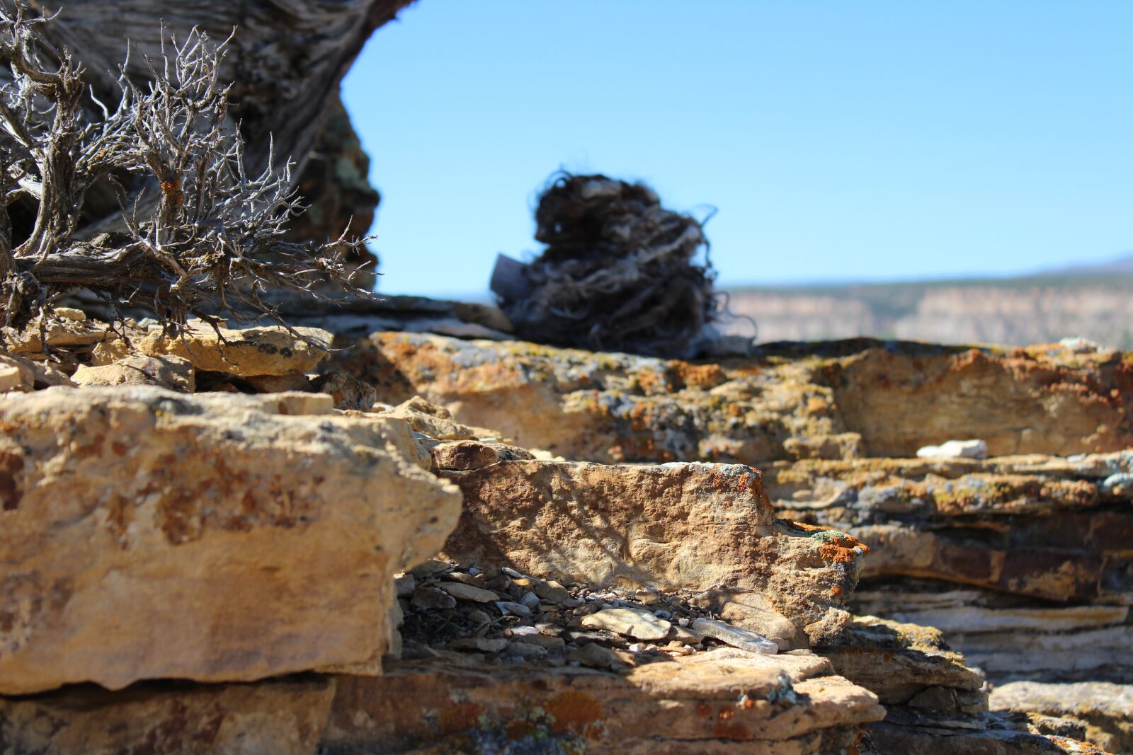 Canon EOS 1300D (EOS Rebel T6 / EOS Kiss X80) sample photo. Yarn, rocks, wool photography