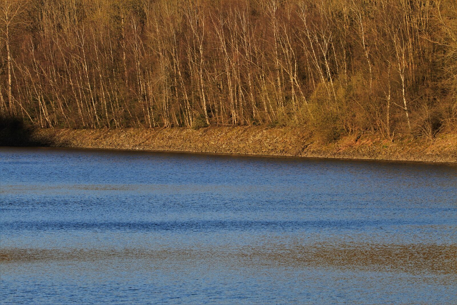 Canon EOS 7D sample photo. Bank, water, reservoir photography