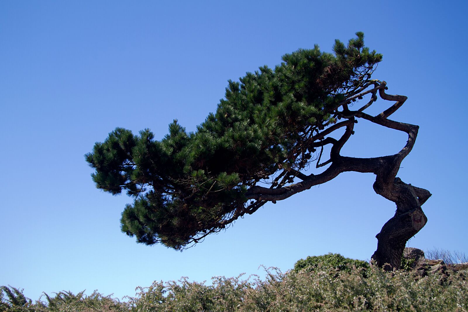 Canon EOS 7D sample photo. Brittany, atlantic coast, france photography
