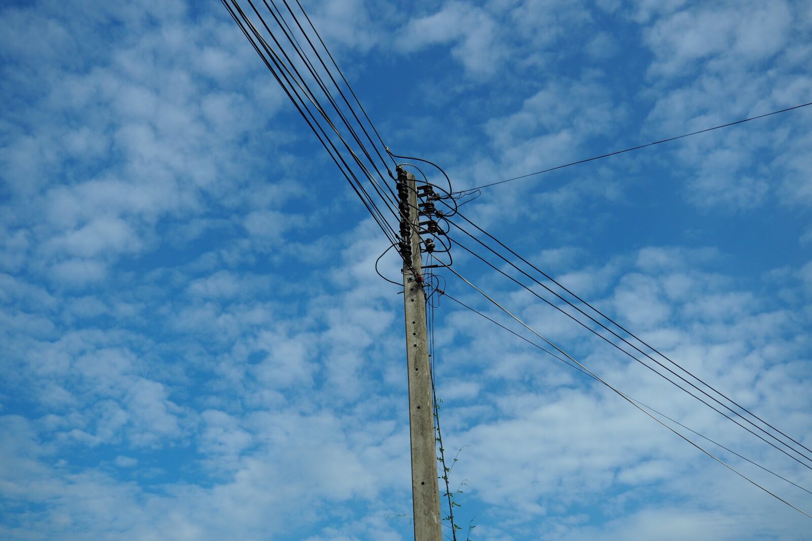 Olympus PEN E-PL7 sample photo. Sky, electric, electricity photography