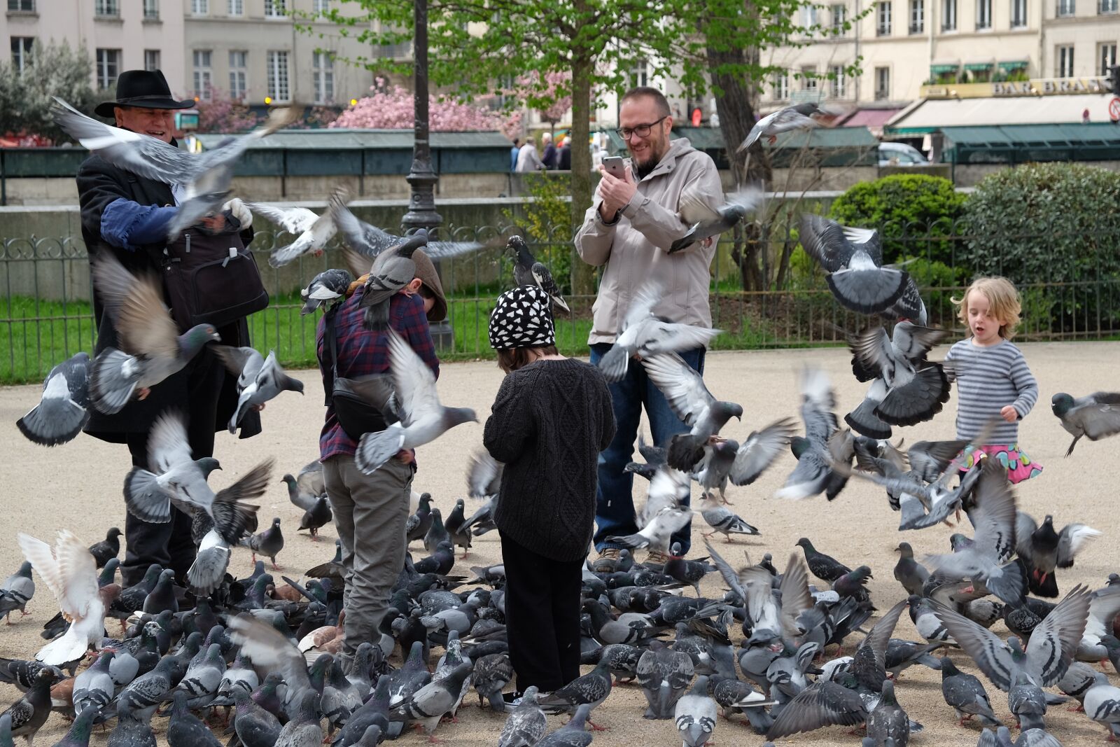 Fujifilm XF 18-55mm F2.8-4 R LM OIS sample photo. Pigeons, park, family photography