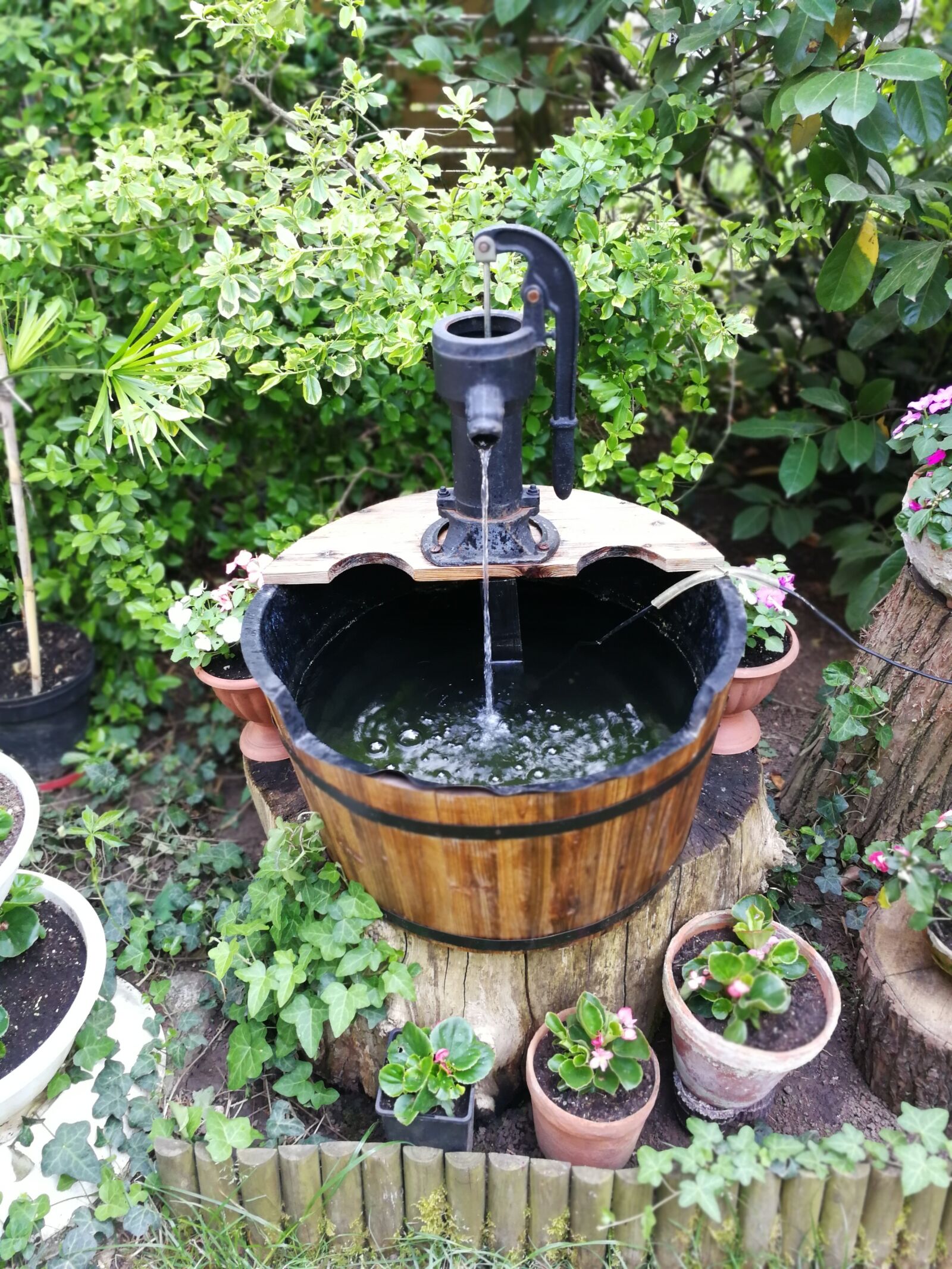 HUAWEI P10 sample photo. Garden, horticulture, babbling photography
