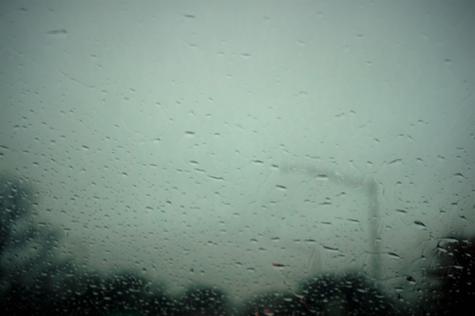 Sony a6000 sample photo. Rain photography