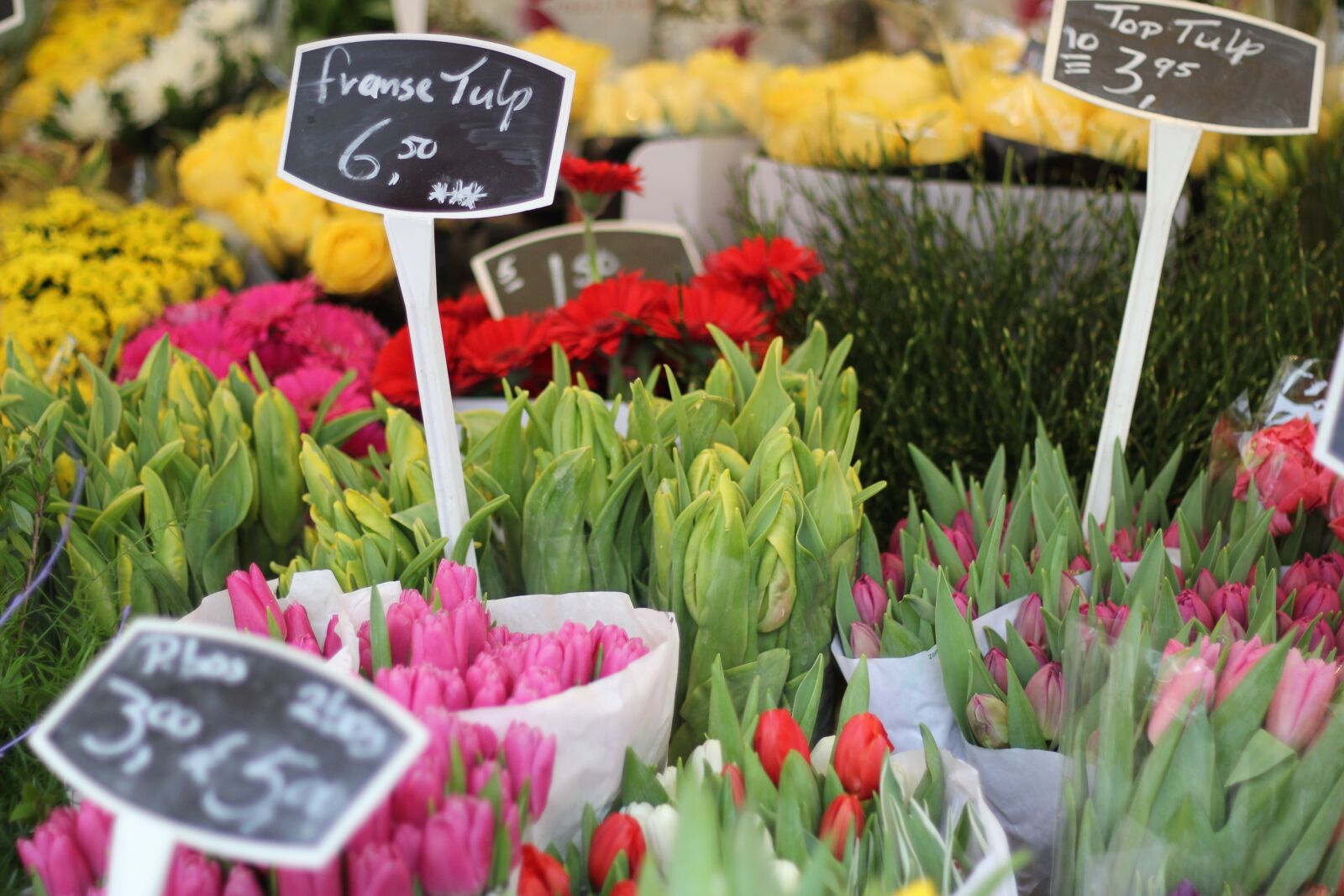 Canon EOS 60D + Canon EF 50mm F1.8 II sample photo. Flowers, tulips, market photography
