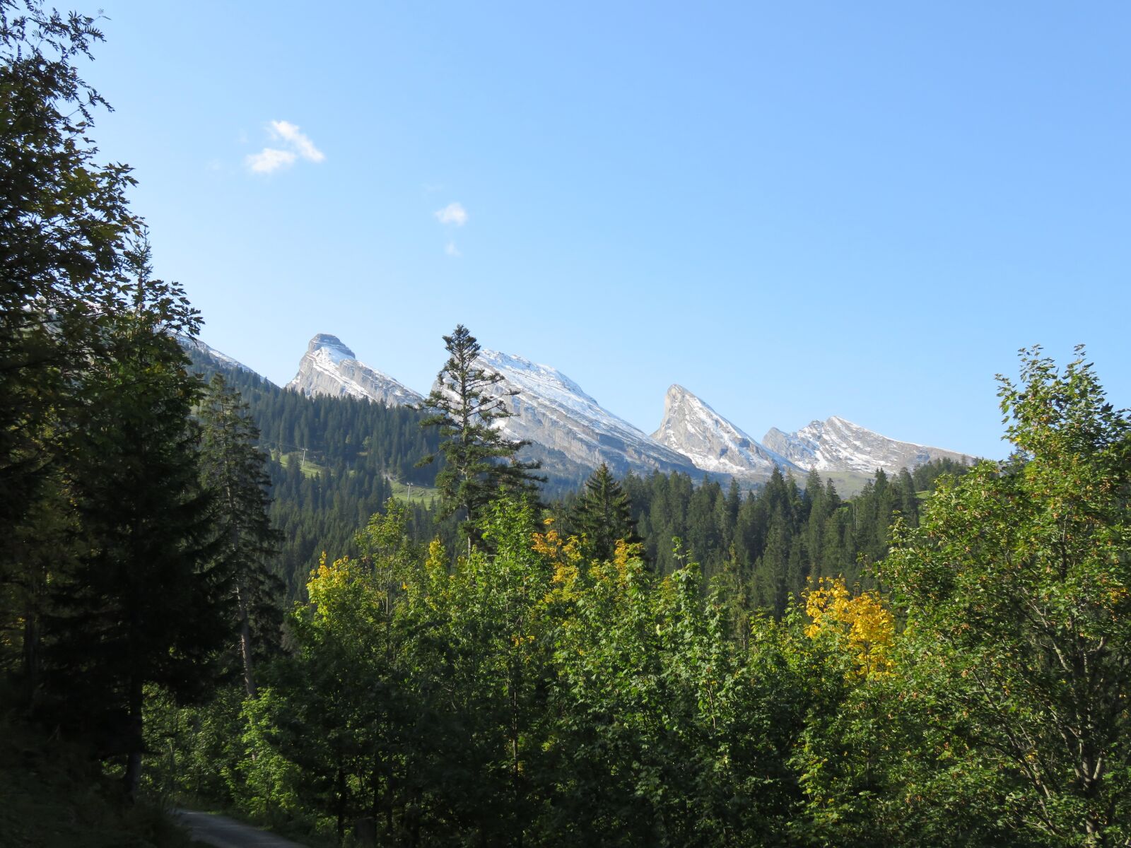 Canon PowerShot SX710 HS sample photo. Switzerland, mountains, wildhaus photography