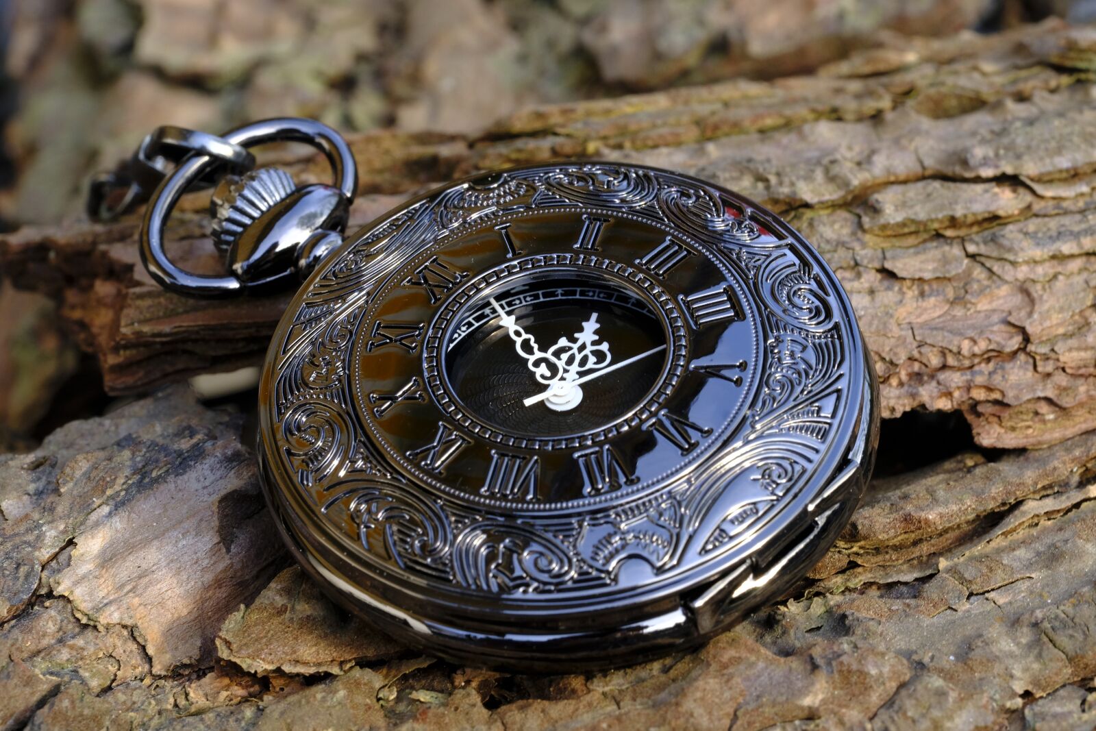 Fujifilm X-T2 + Fujifilm XF 80mm F2.8 R LM OIS WR Macro sample photo. Clock, pocket watch, time photography