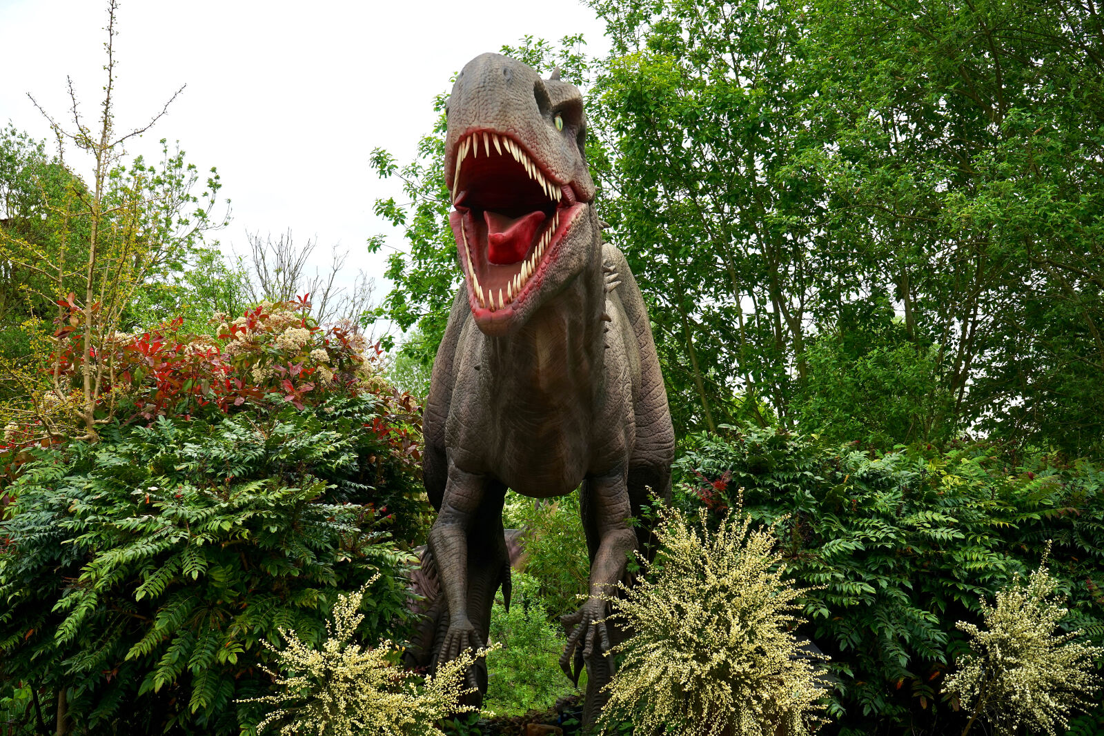 Sony a7 sample photo. Dinosaur, evergreen, figure, garden photography