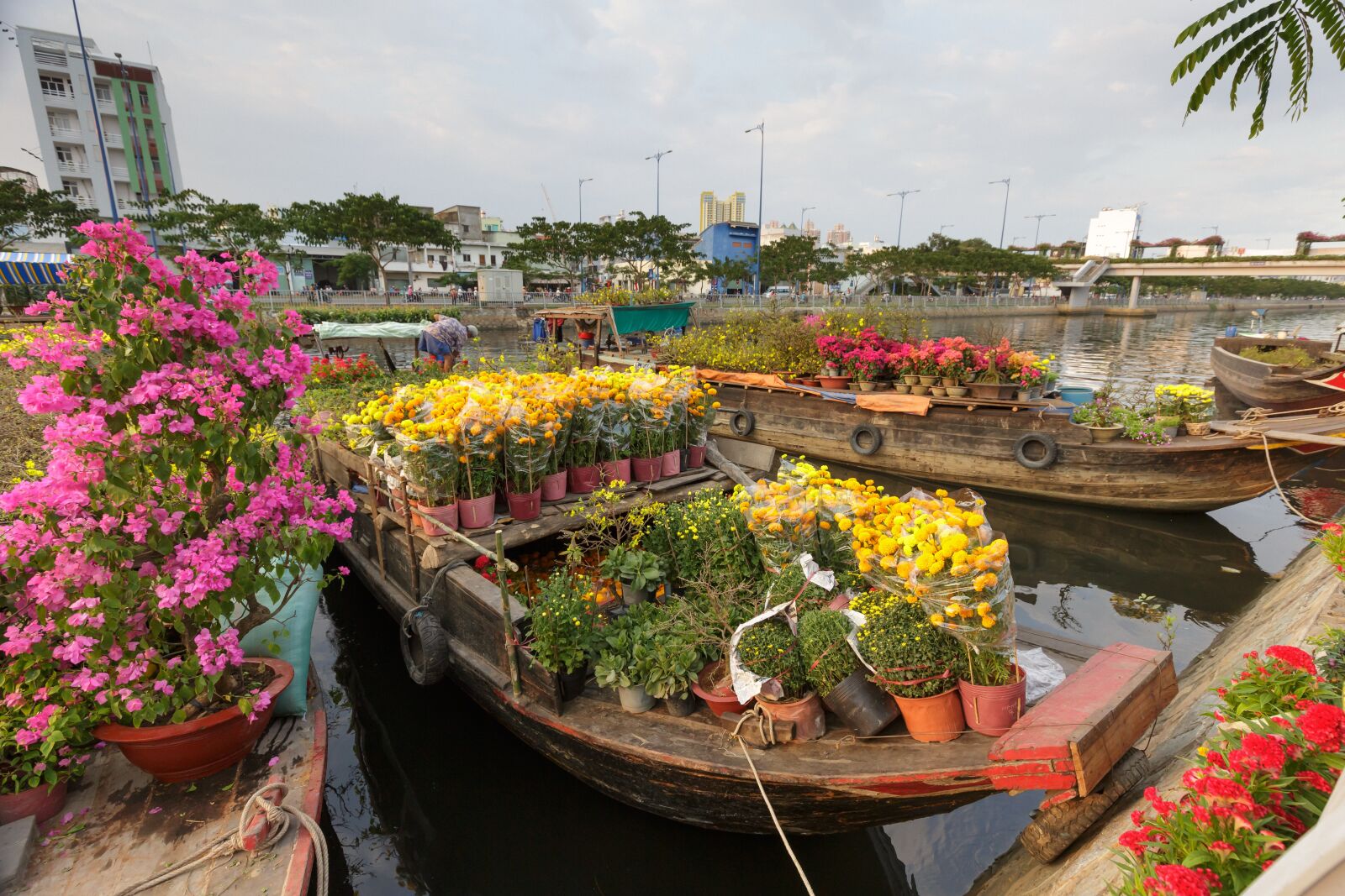 Canon EOS 5D Mark III sample photo. Flower, market, vietnam photography