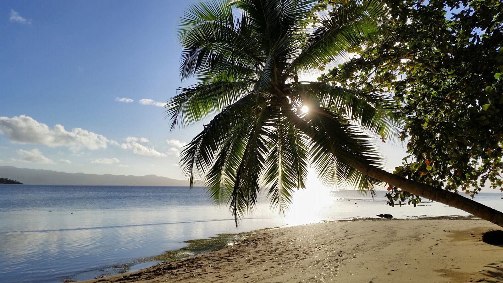 Samsung Galaxy S5 sample photo. Fiji, nature, of the photography