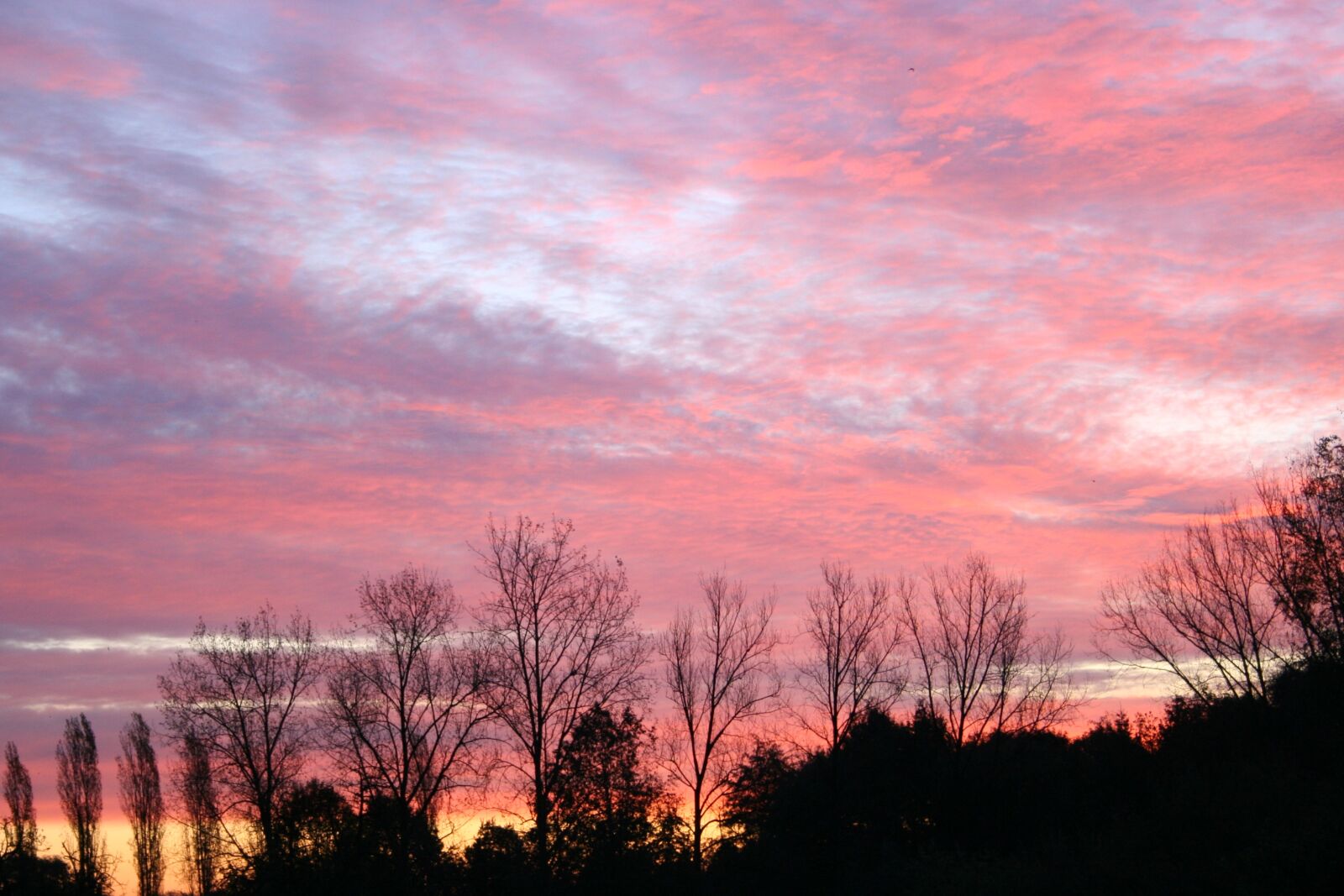 Canon EOS 350D (EOS Digital Rebel XT / EOS Kiss Digital N) sample photo. Landscape, morning, sunrise photography