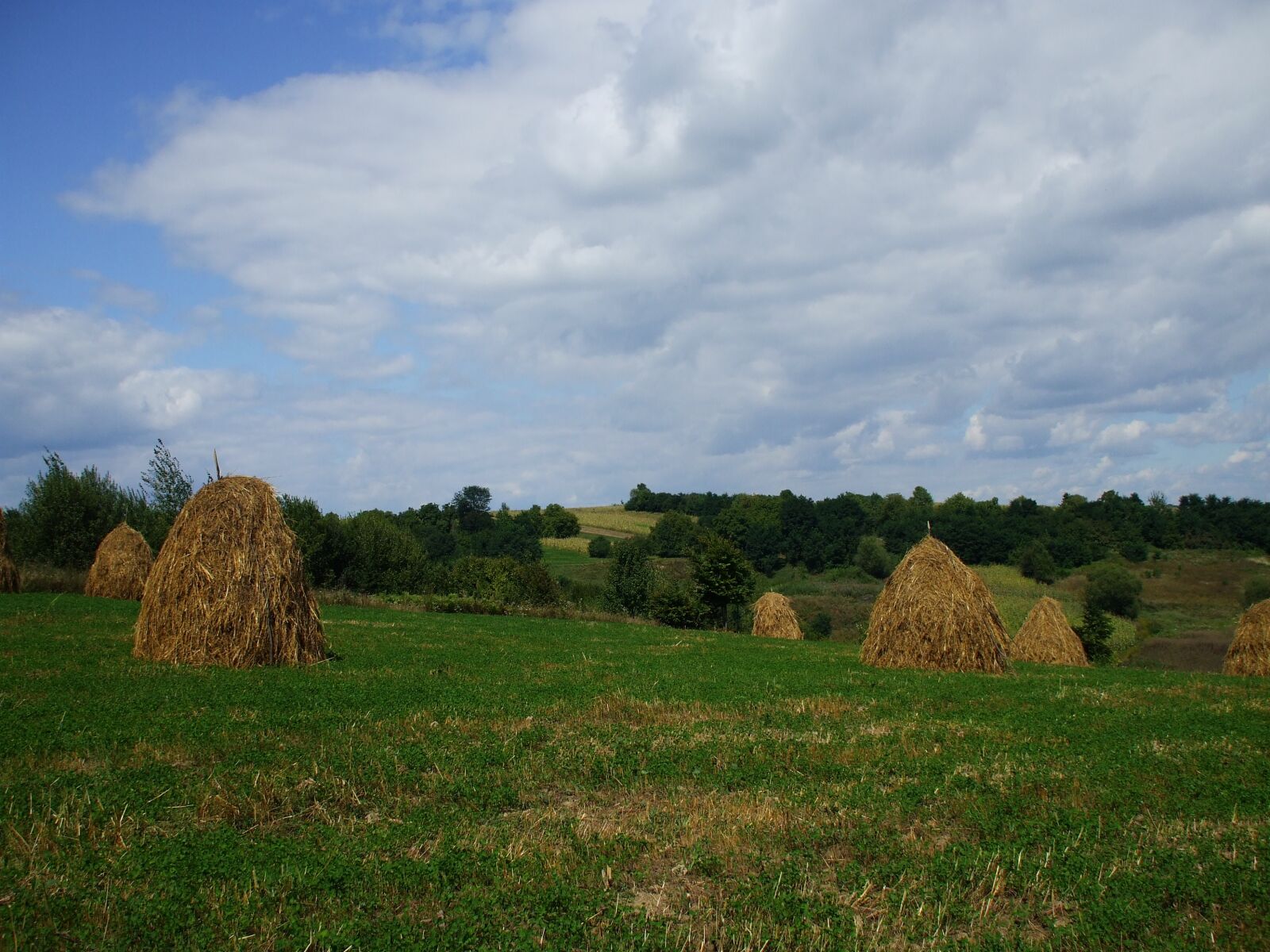 Fujifilm FinePix A800 sample photo. Haystacks, rural, countryside photography