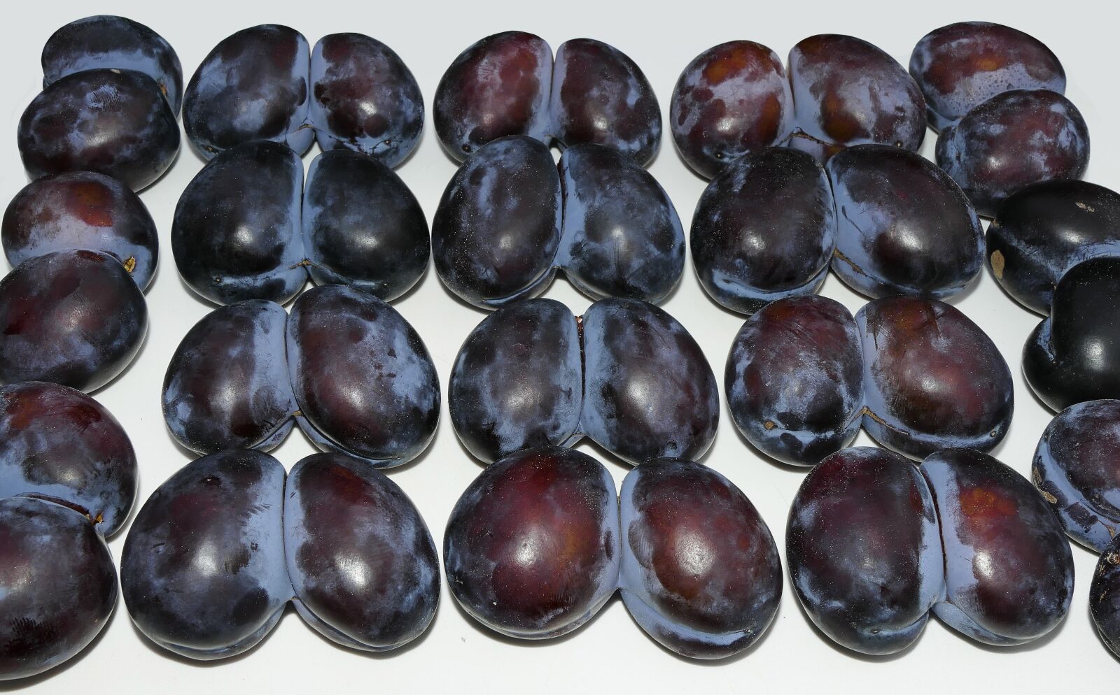 Panasonic Lumix DMC-FZ1000 sample photo. Plum, twin, twin plum photography