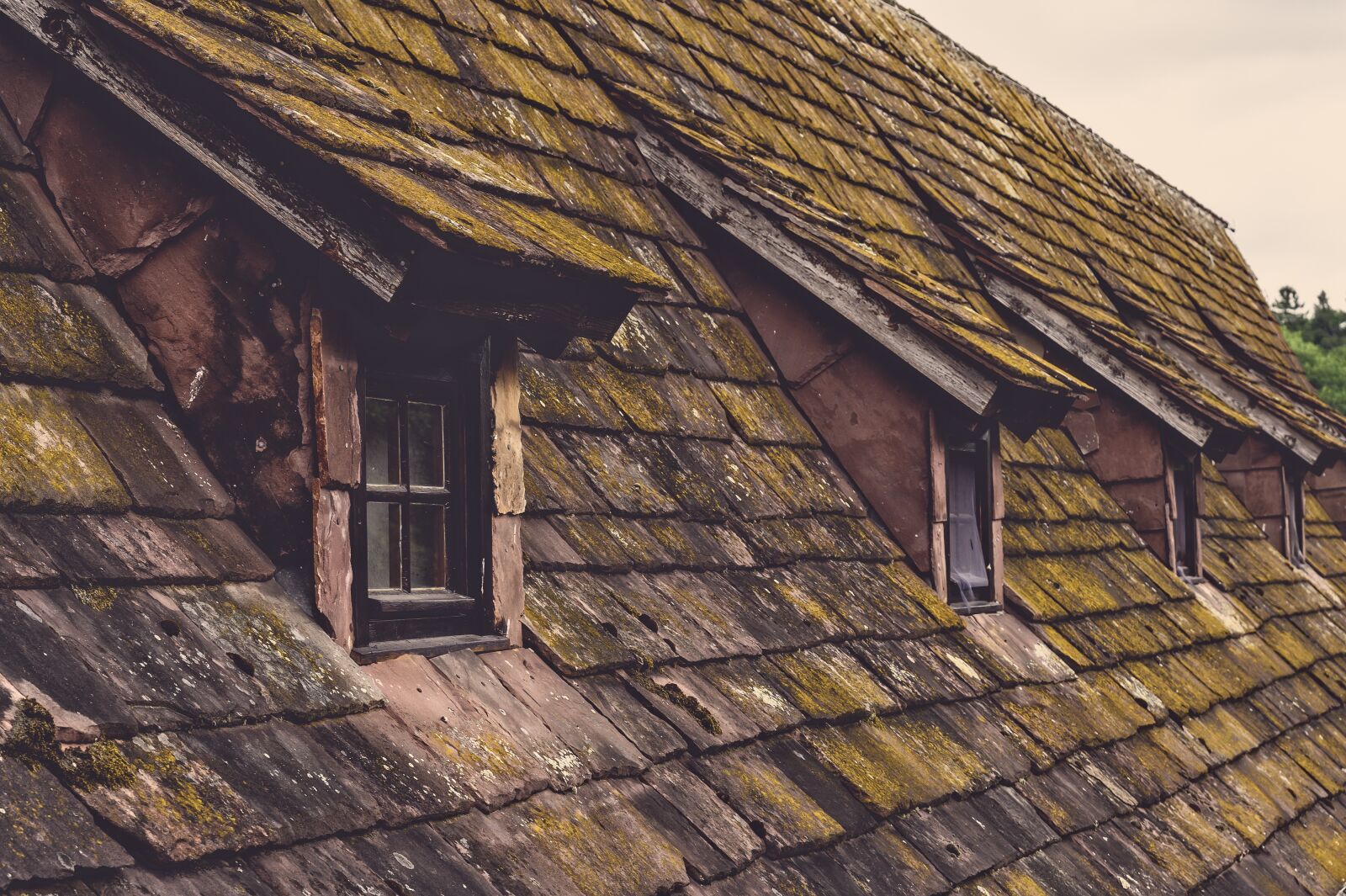 Nikon Z6 sample photo. Roof, shingle, old photography
