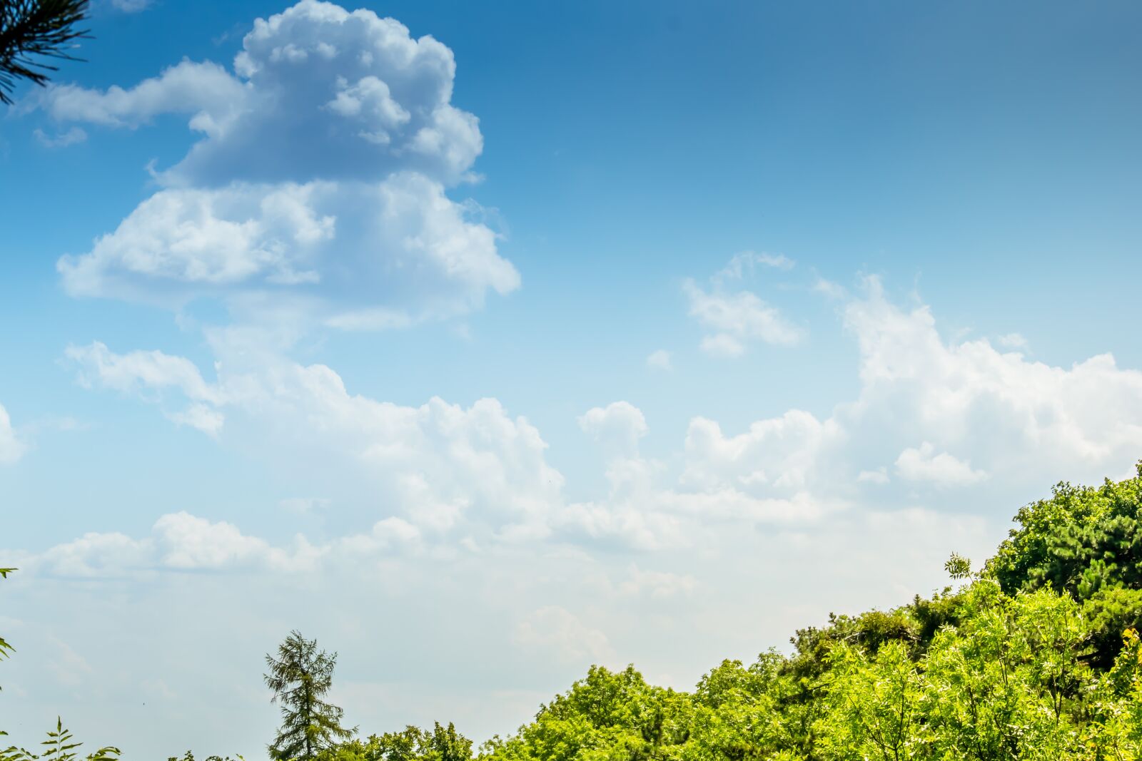 Nikon D3300 sample photo. Blue, cloudy, sky photography