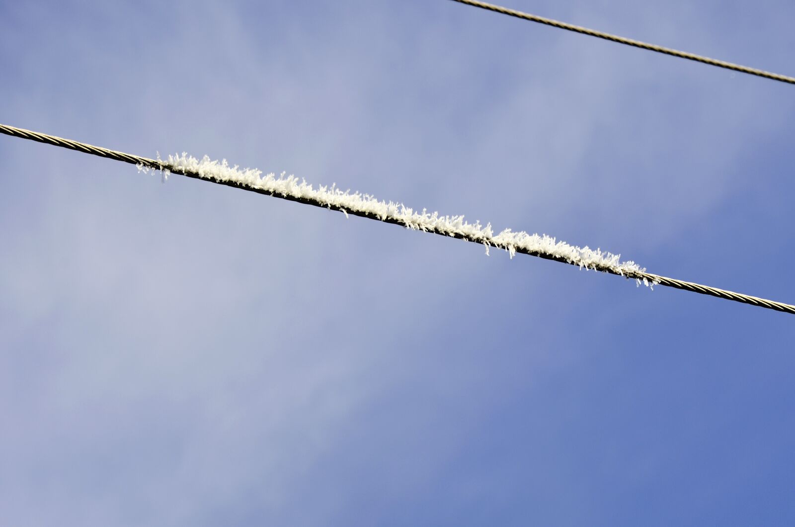 Nikon D5100 sample photo. Power line, frozen power photography
