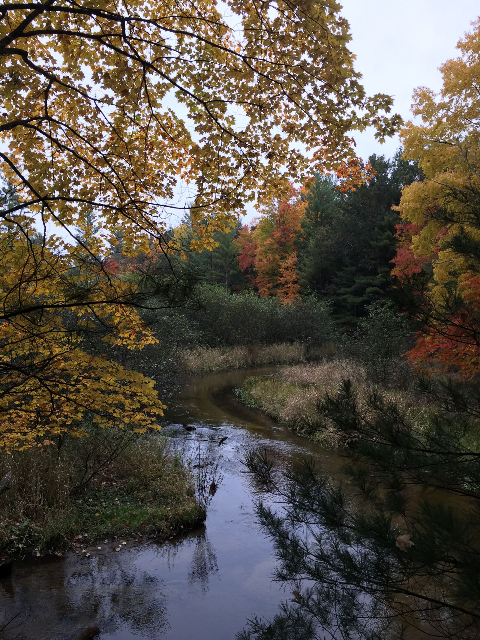Apple iPhone 6 sample photo. Brooks, creek photography