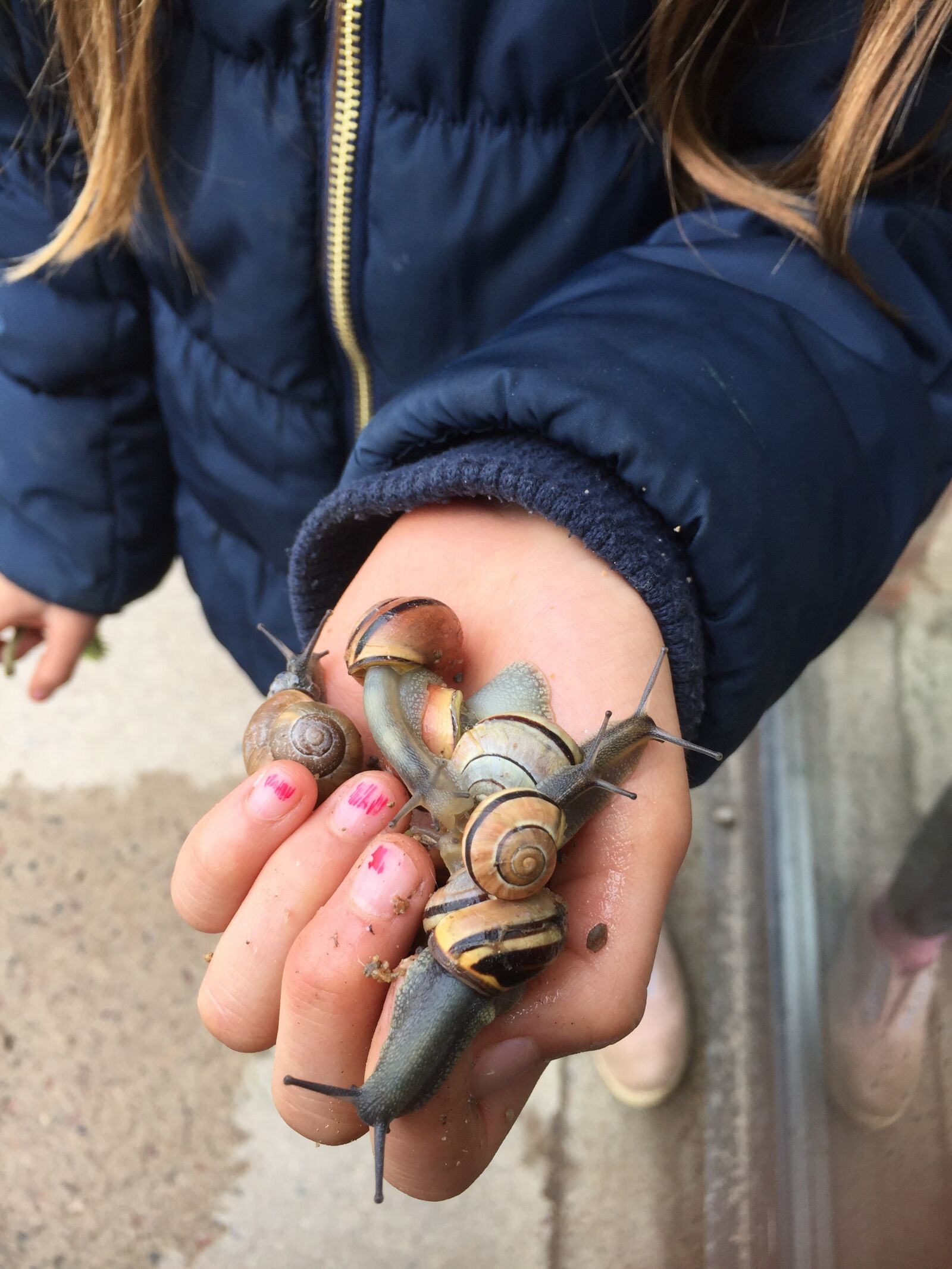 Apple iPhone 6 sample photo. Slug, snails, children photography