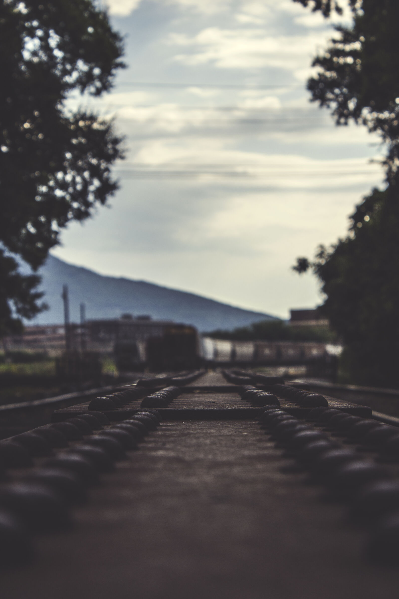 Canon EOS 600D (Rebel EOS T3i / EOS Kiss X5) sample photo. Train, outdoors, track, perspective photography