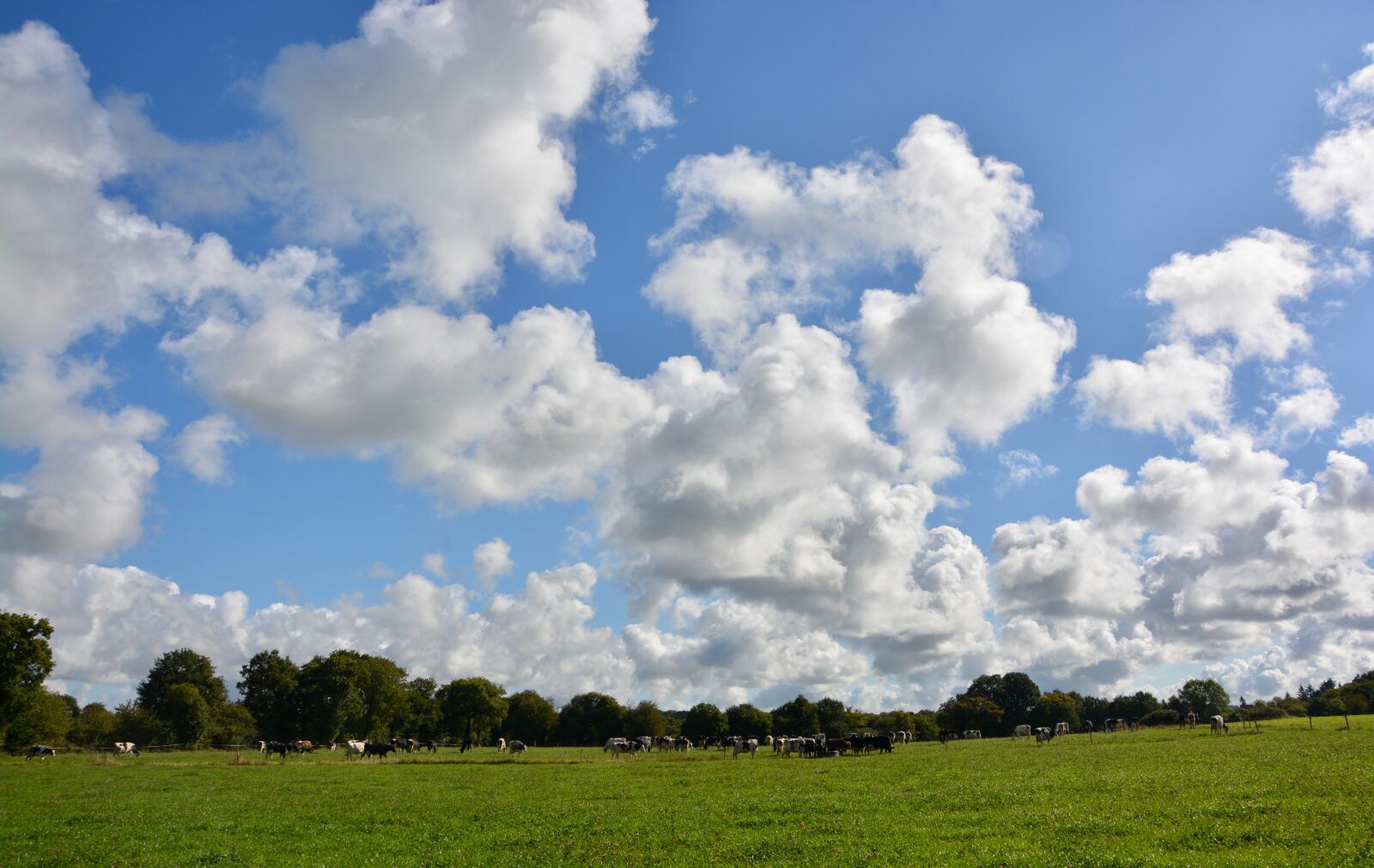 Nikon D5200 sample photo. Landscape campaign, panorama campaign photography