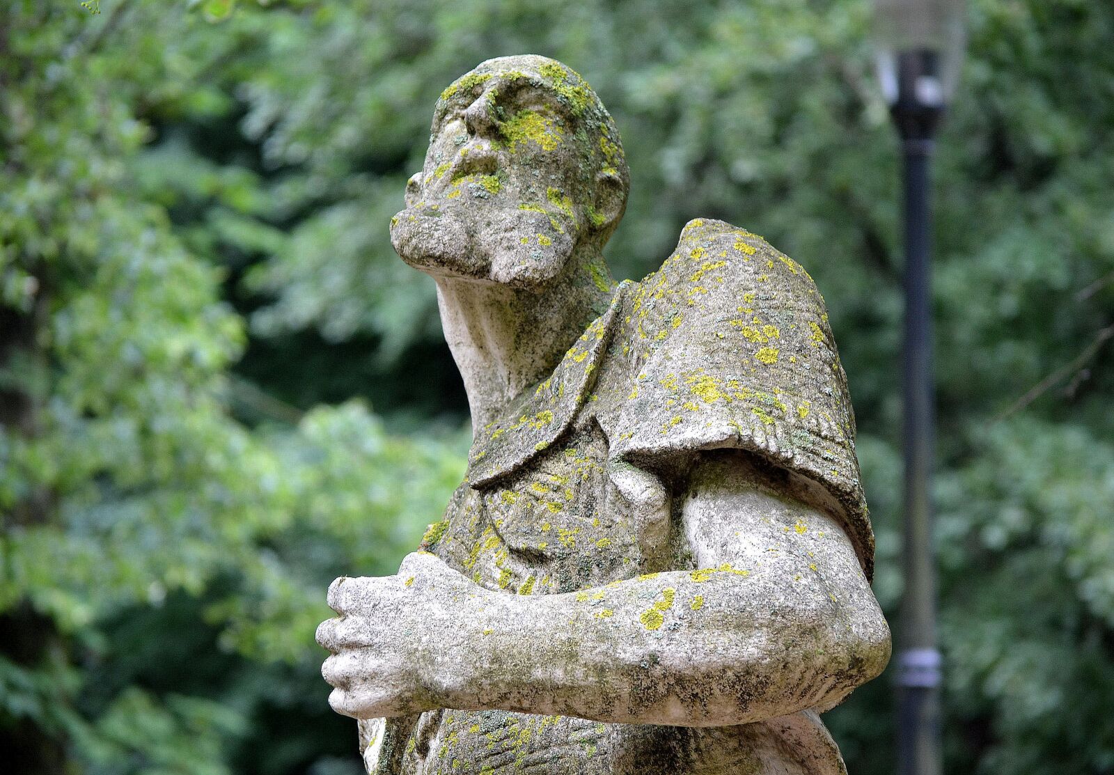 Nikon D3100 sample photo. The statue of, a photography