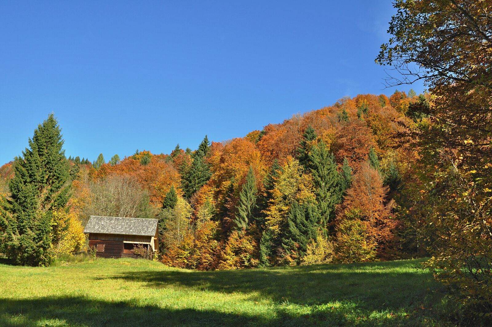 Nikon D90 sample photo. Autumn, autumn mood, nature photography