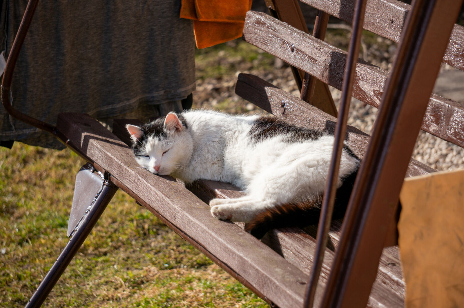 Sony Alpha NEX-5R sample photo