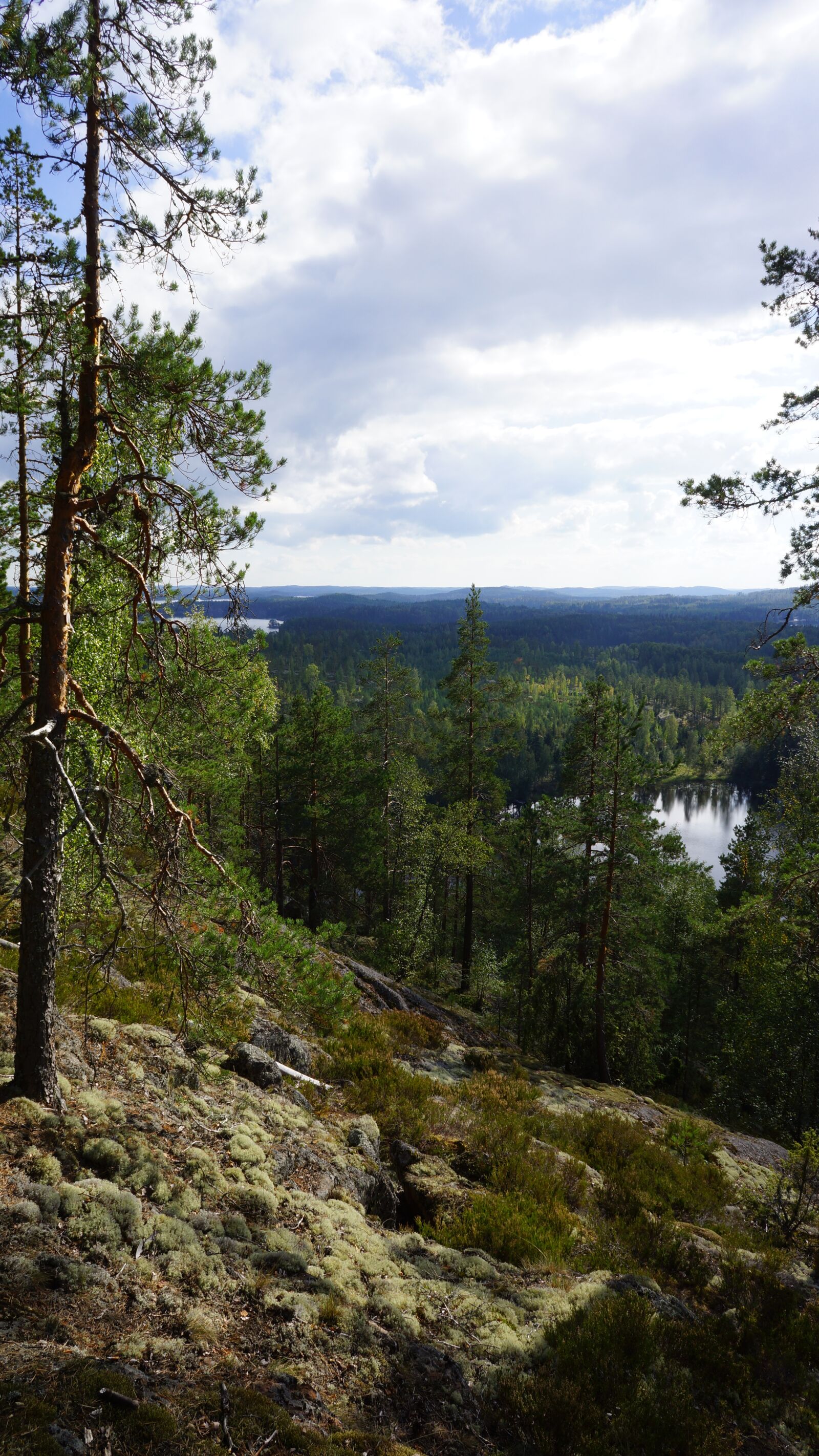 Sony Alpha NEX-7 + Sony E 16mm F2.8 sample photo. Landscape, forest, the skyline photography