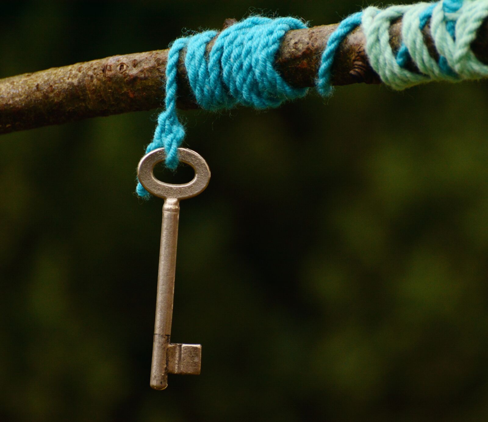 Nikon D5200 sample photo. Key, cord, symbol photography