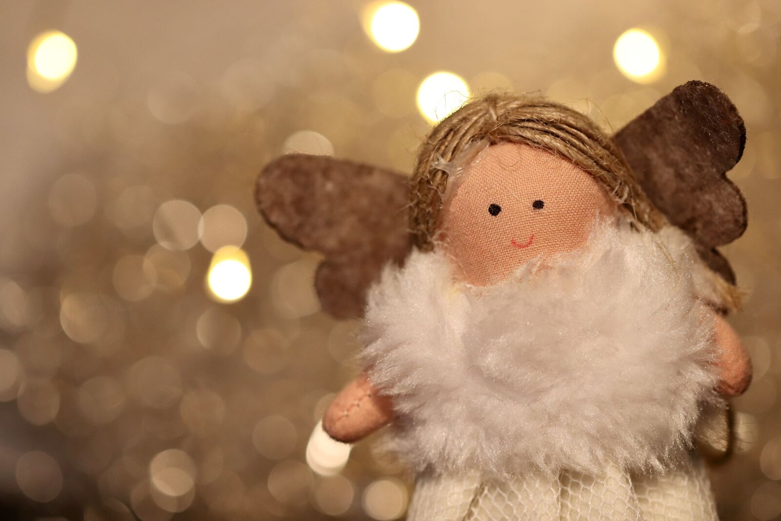 Canon EOS 800D (EOS Rebel T7i / EOS Kiss X9i) sample photo. Christmas, christmas angel, angel photography