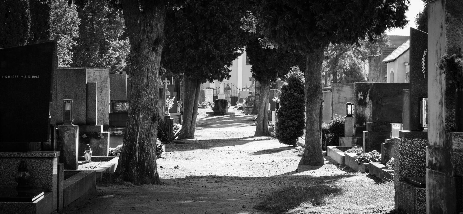 Canon EOS 700D (EOS Rebel T5i / EOS Kiss X7i) + Canon EF 50mm F1.8 STM sample photo. Cemetery, graves, path photography