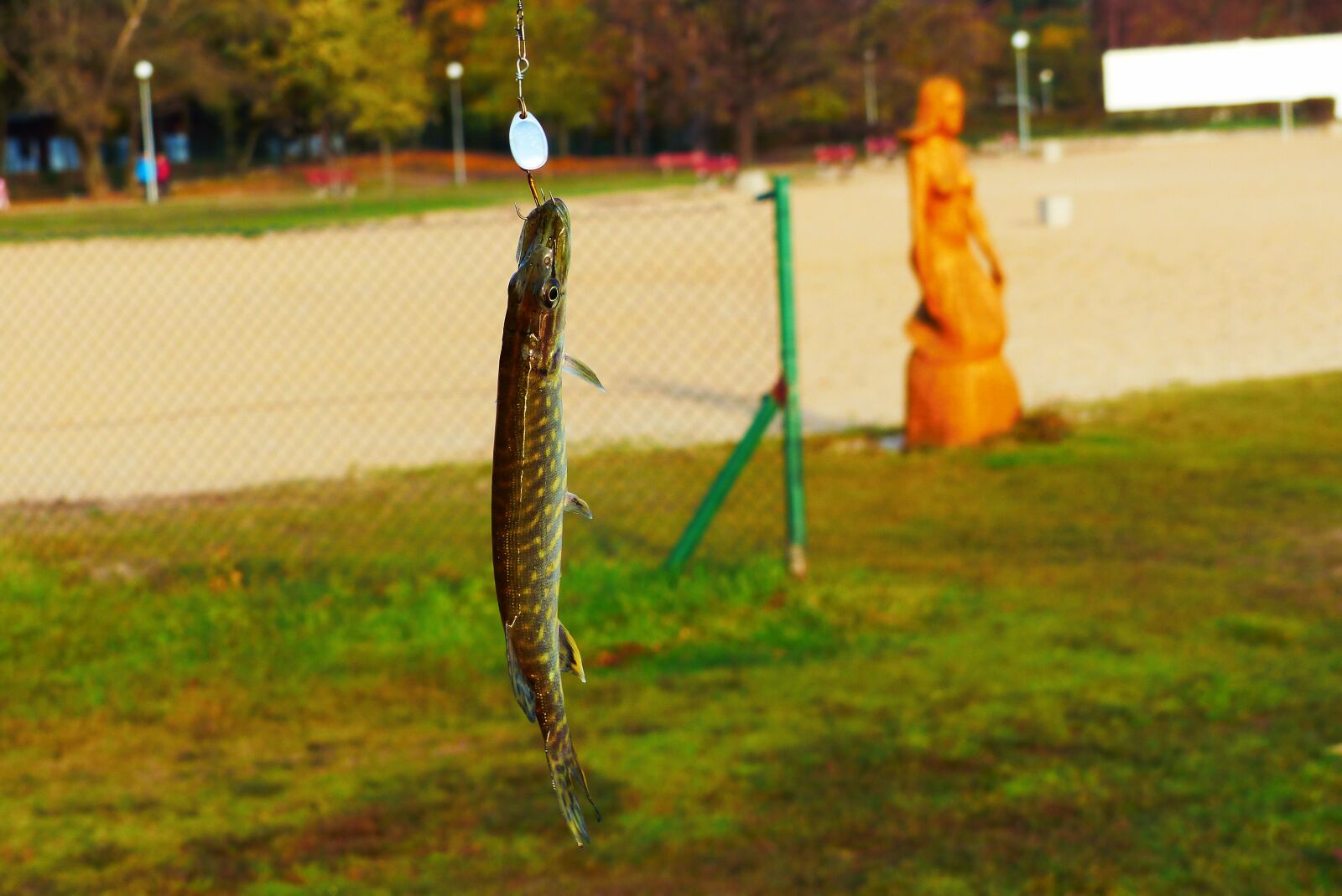 Panasonic Lumix DMC-FZ200 sample photo. Fishing spiningowe, skinny girl photography