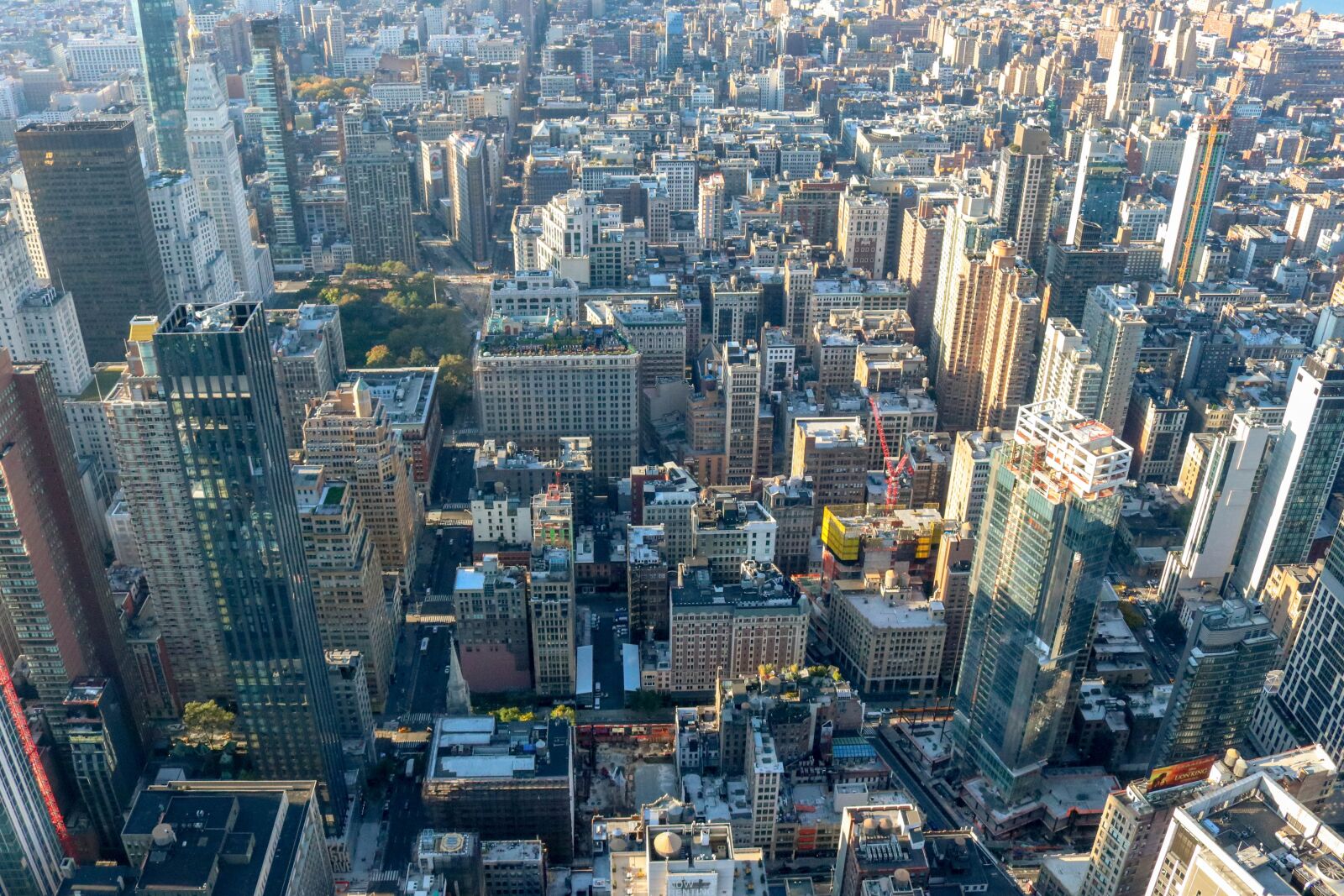 Canon EOS 80D sample photo. Birds, eye, view photography