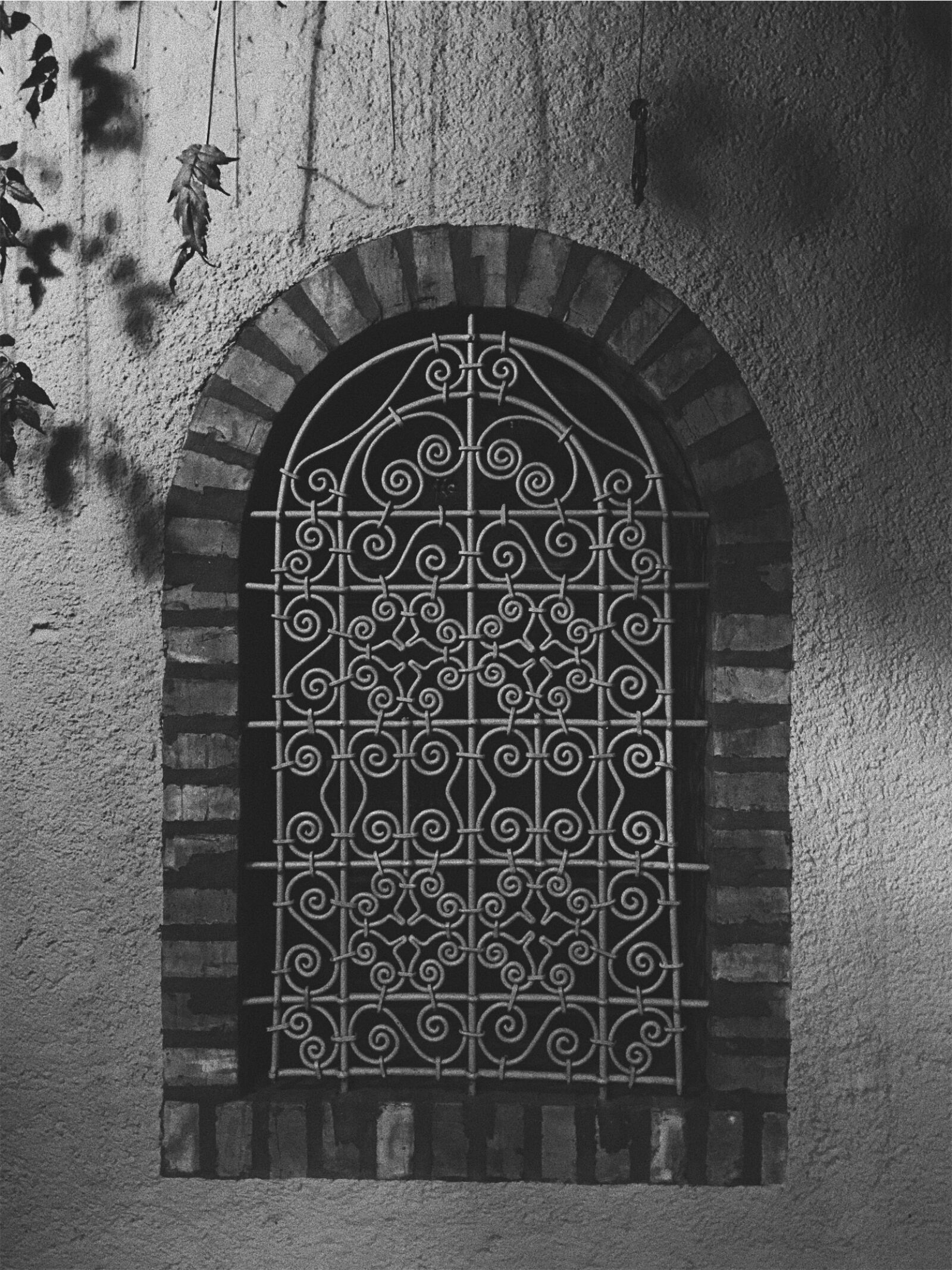 iPhone 6s Plus back camera 4.15mm f/2.2 sample photo. Architecture, majorelle, garden, marrakesh photography