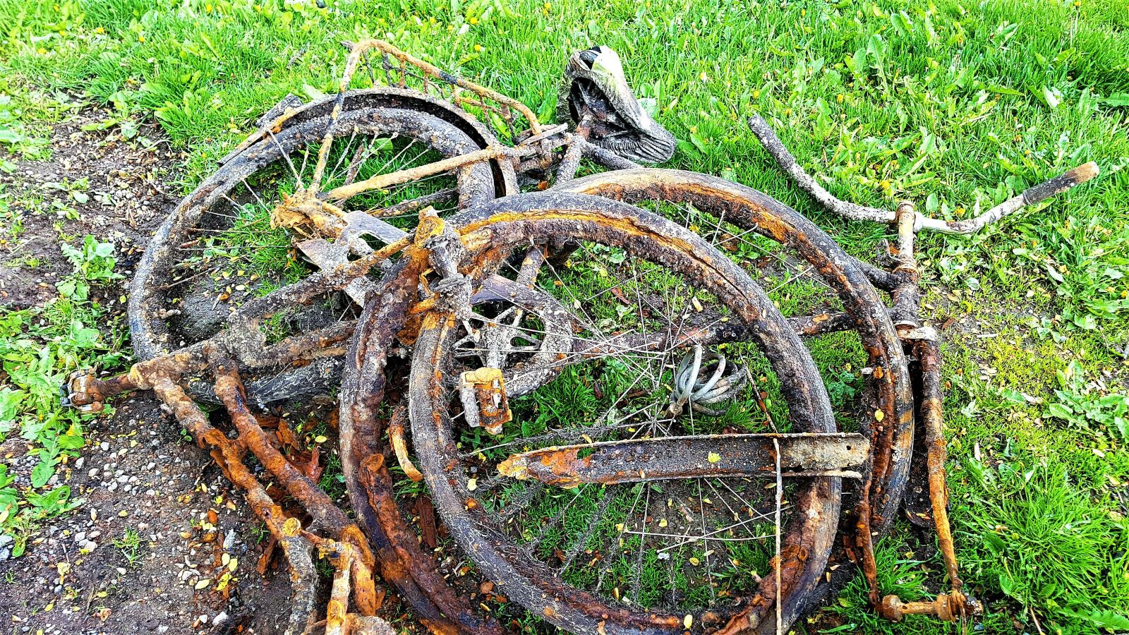 Samsung Galaxy S7 Edge sample photo. Rusted, rust, bicycle photography